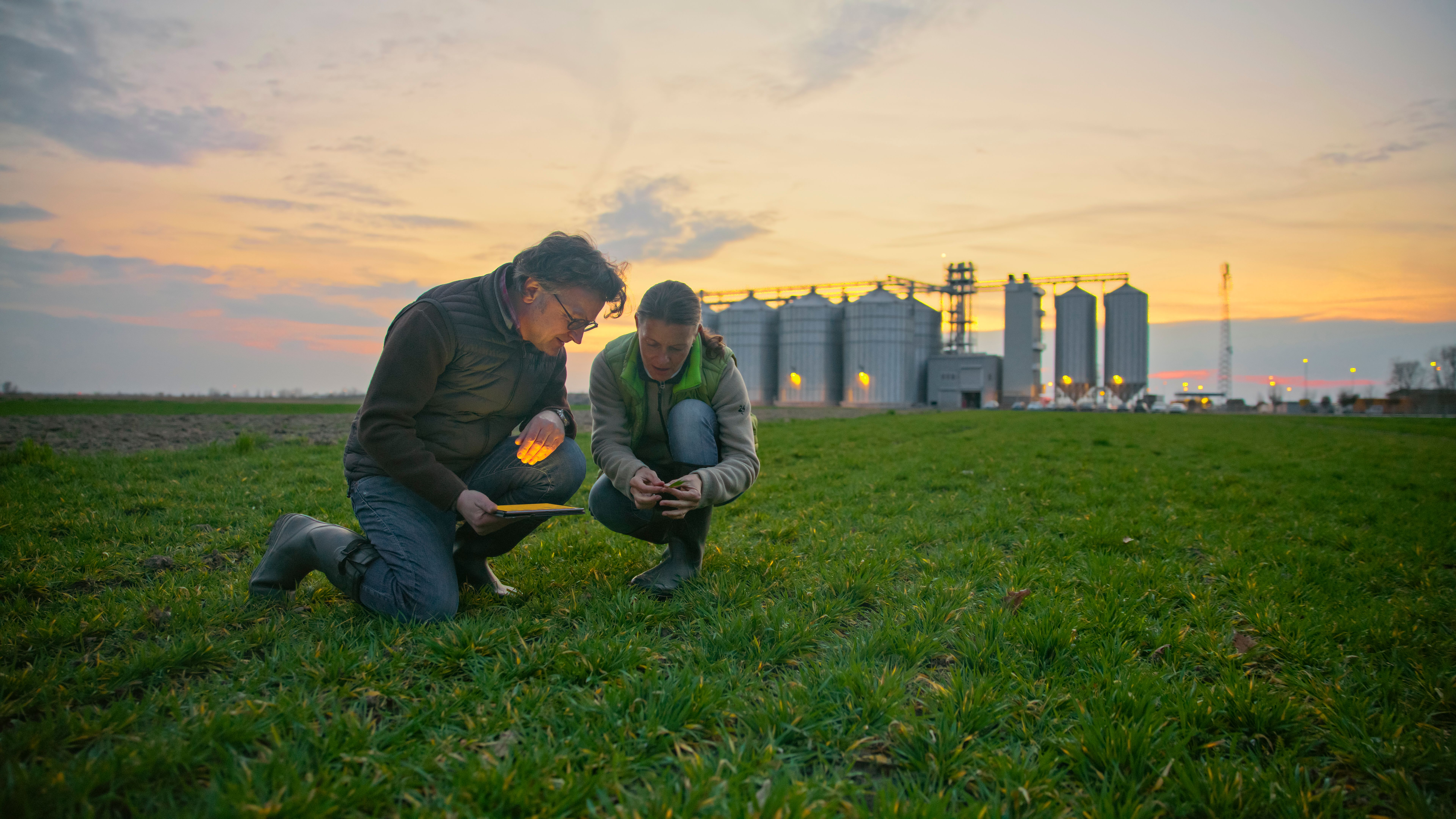 agricultural policy