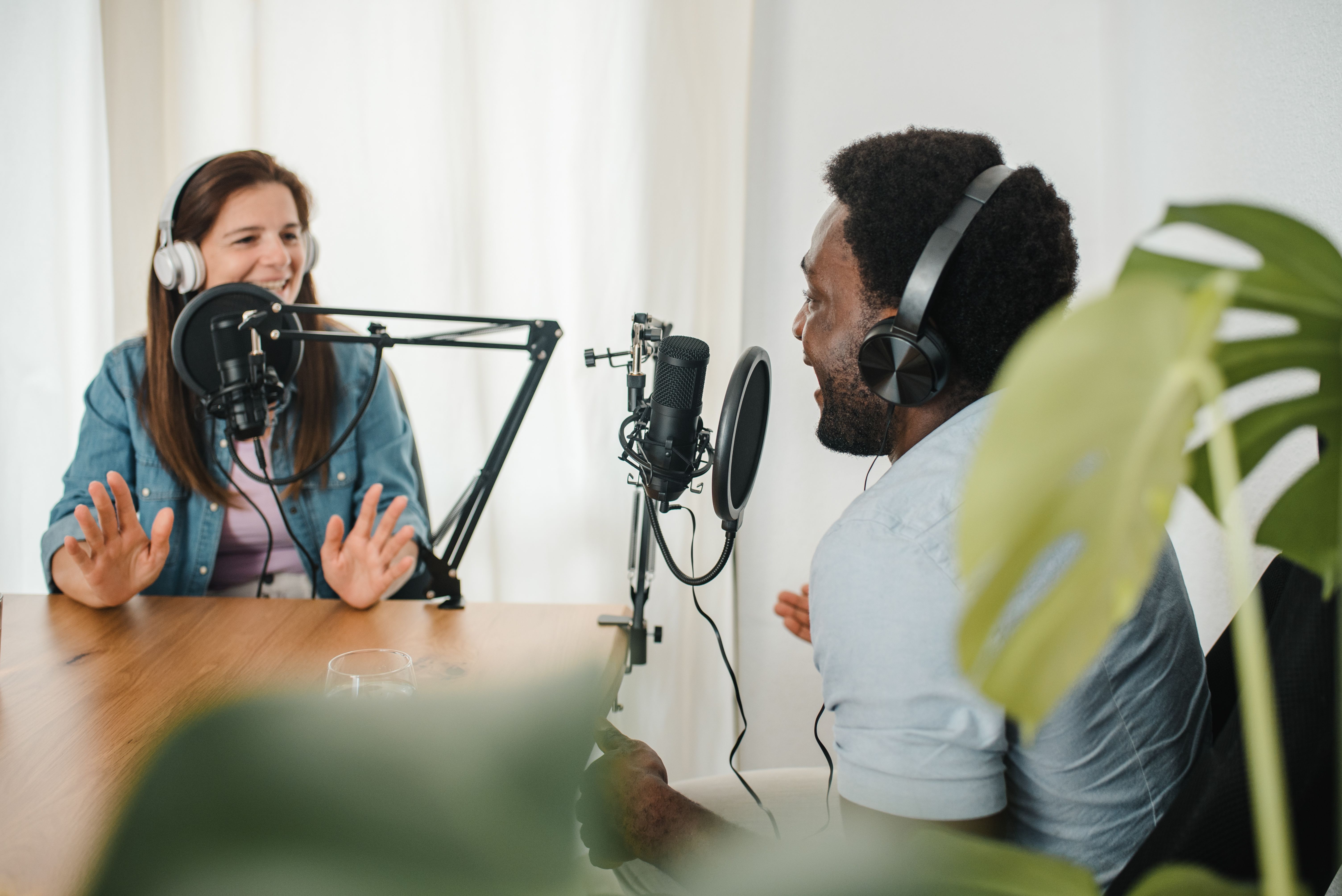 podcast diversity