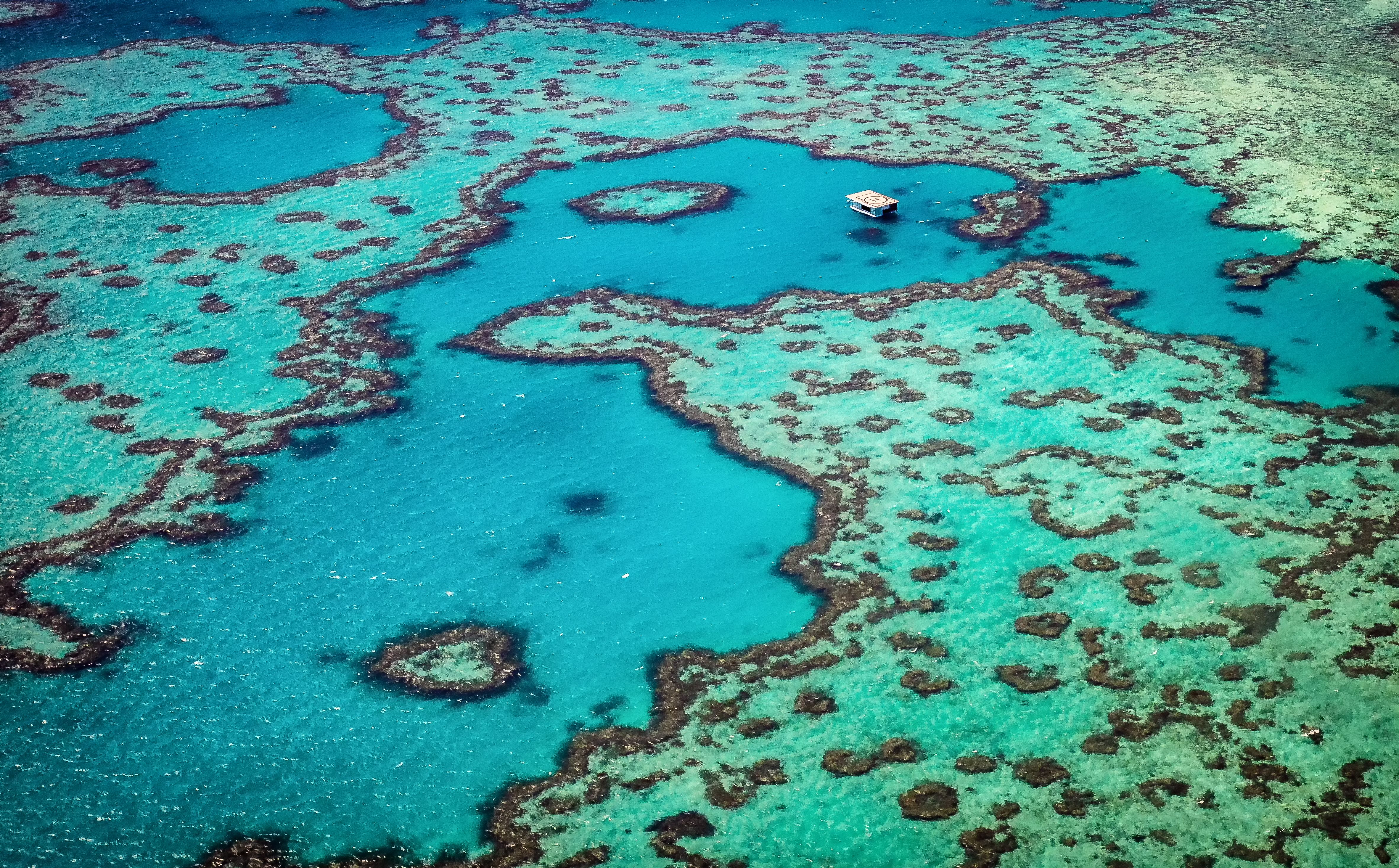 great barrier reef