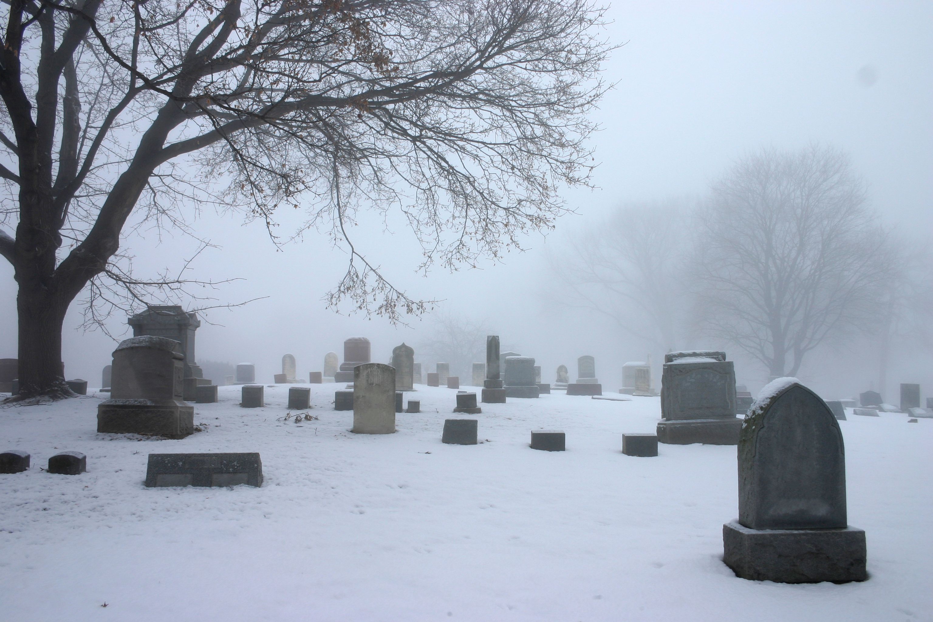 winter cemetery