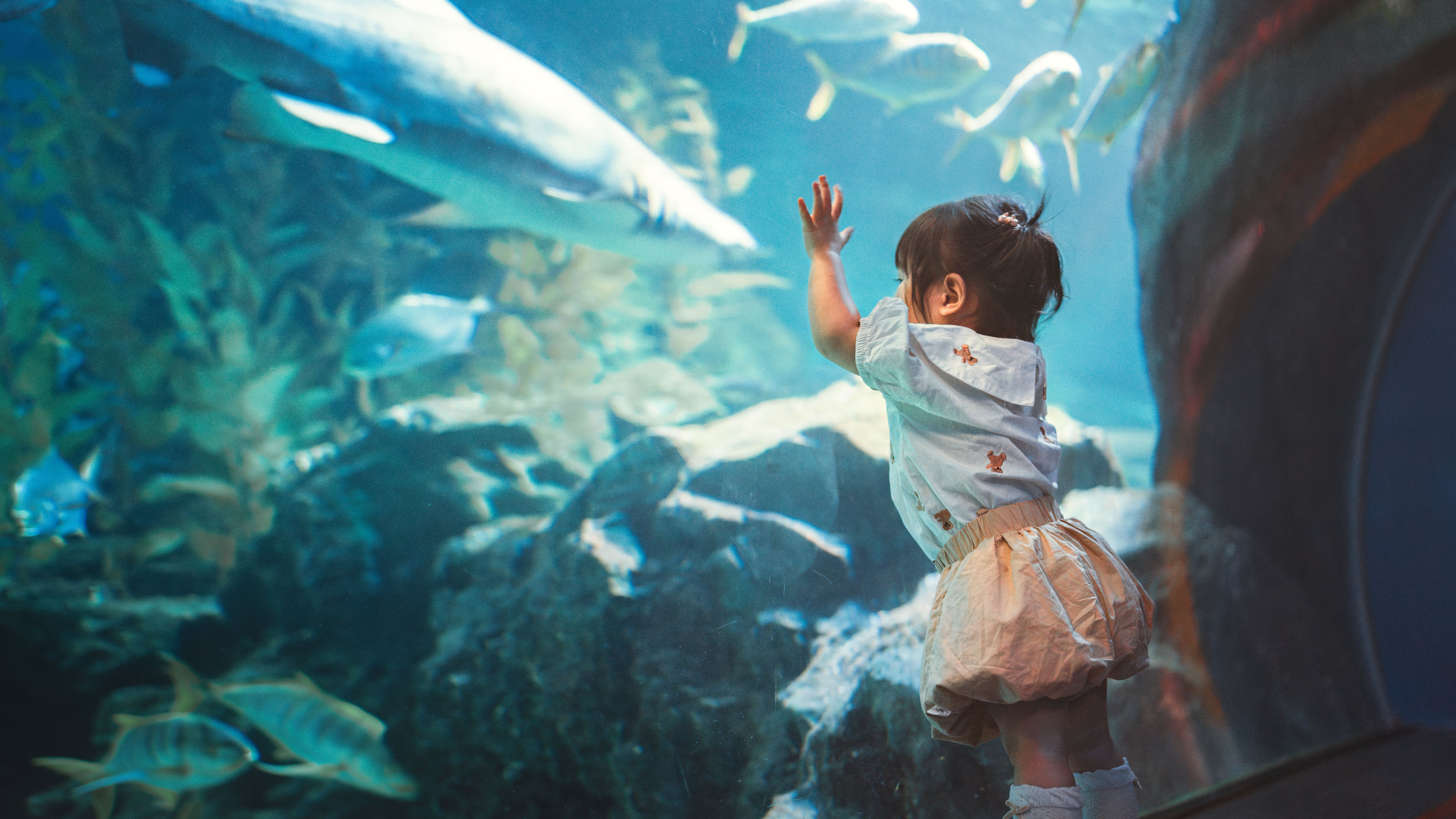 underwater show
