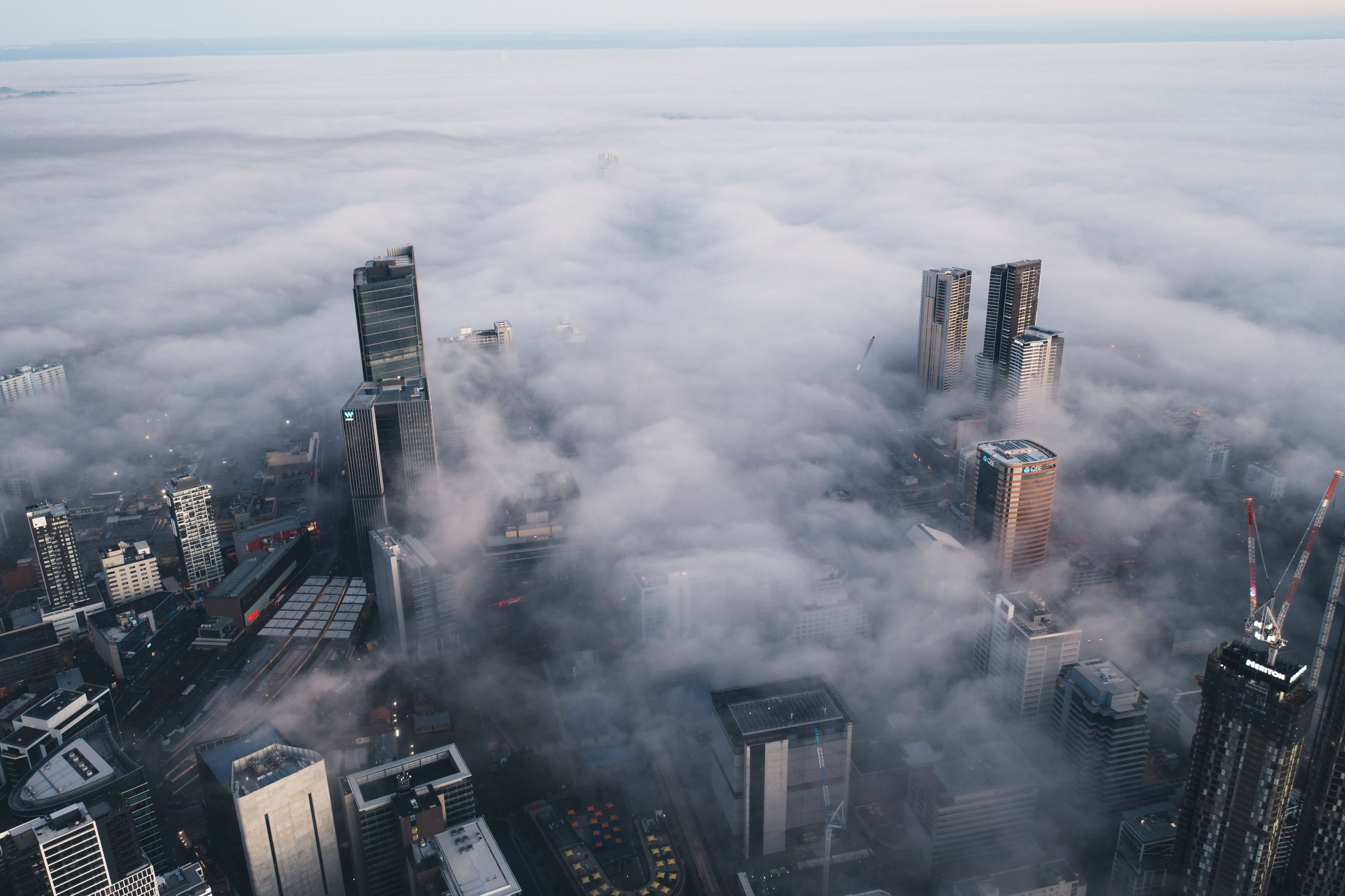 morning fog