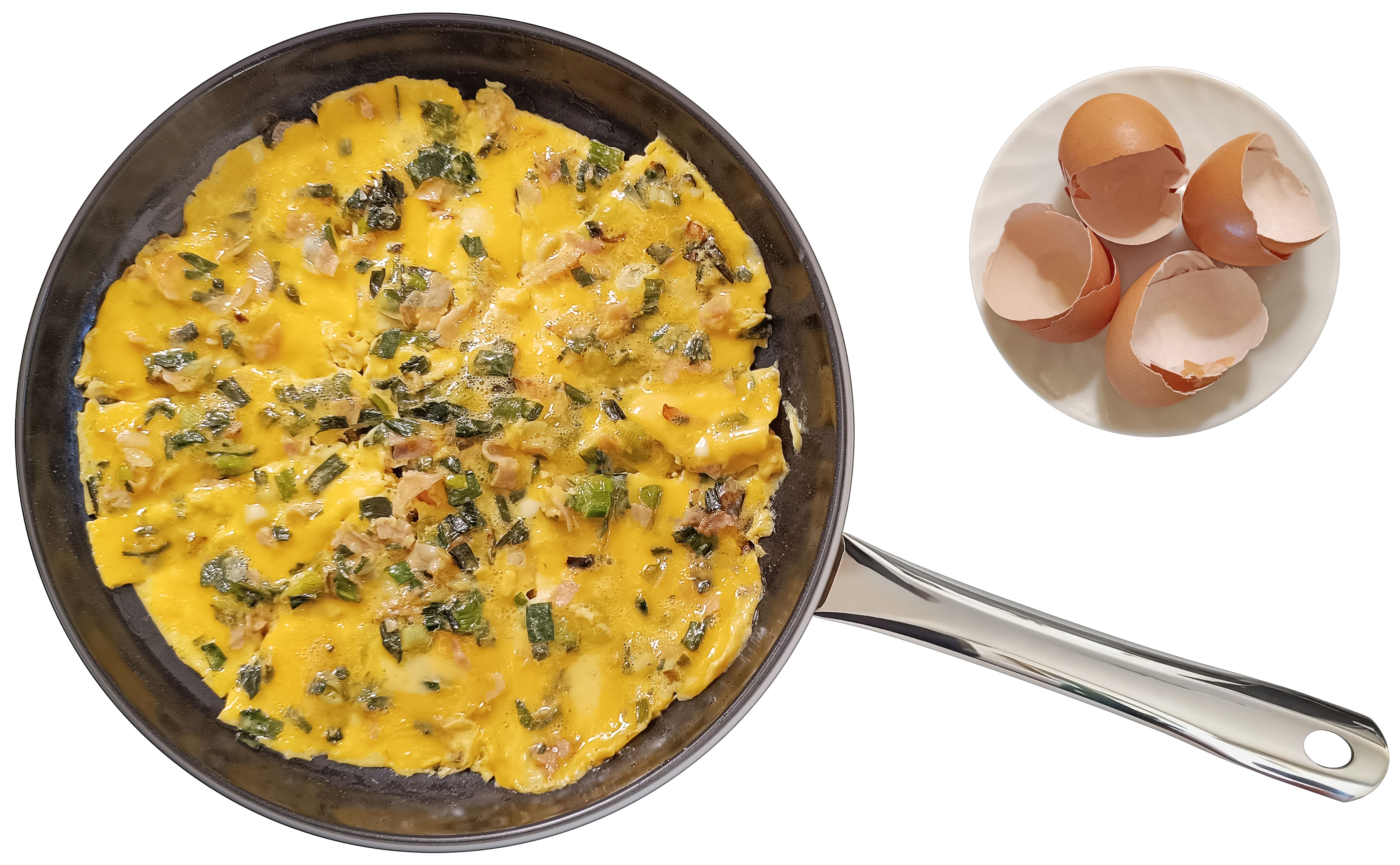 protein rich food