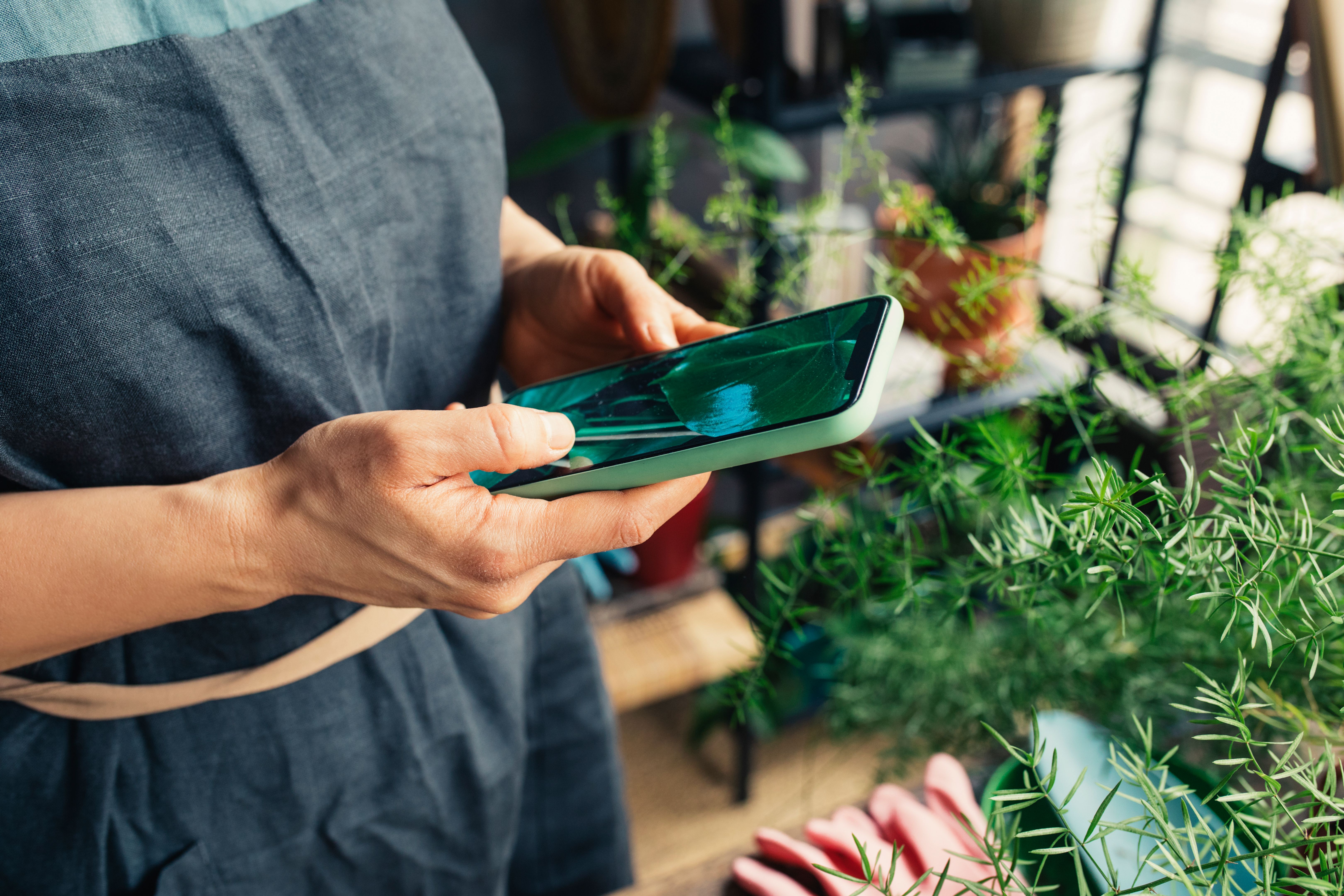 gardener consultation