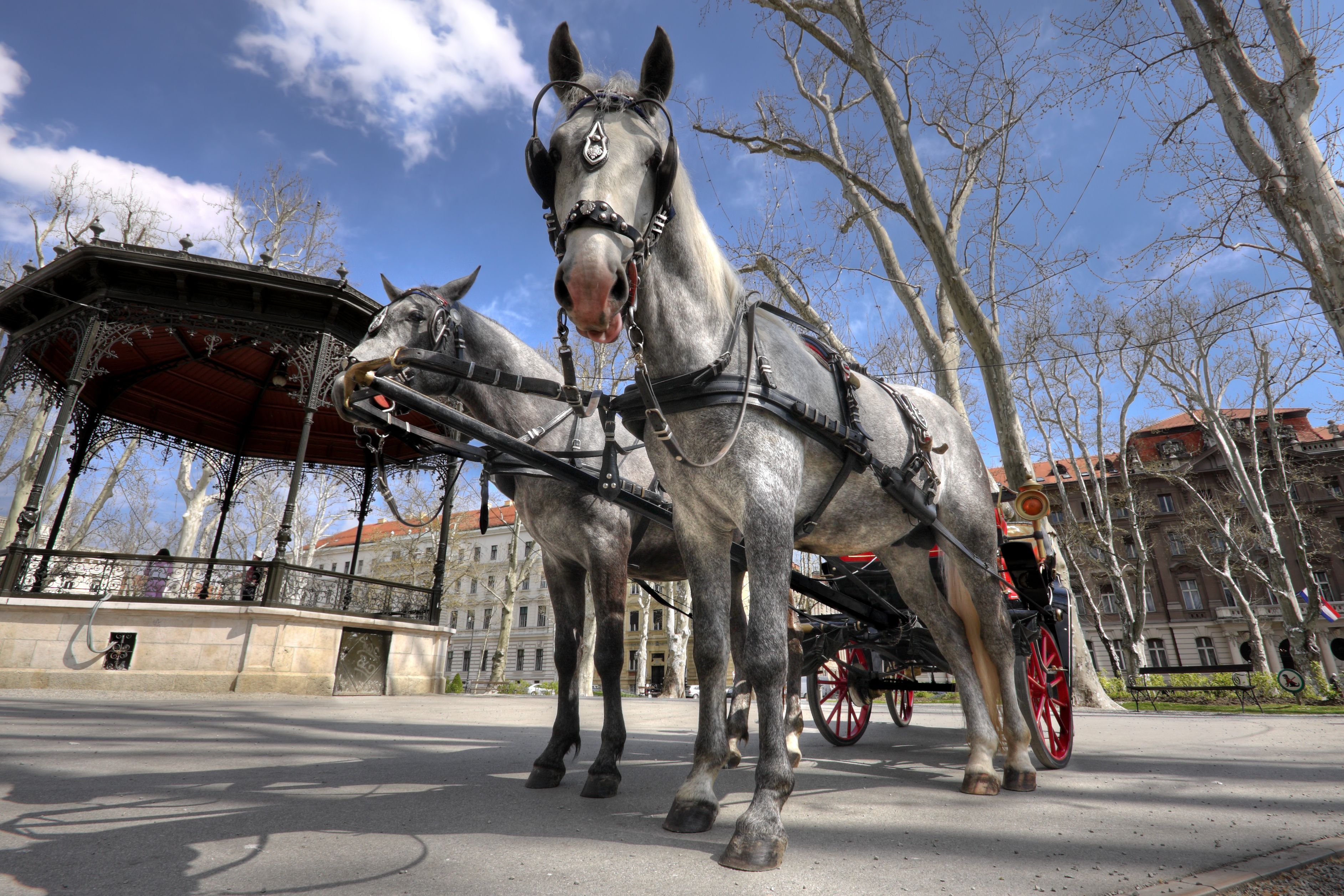 zagreb wedding photography