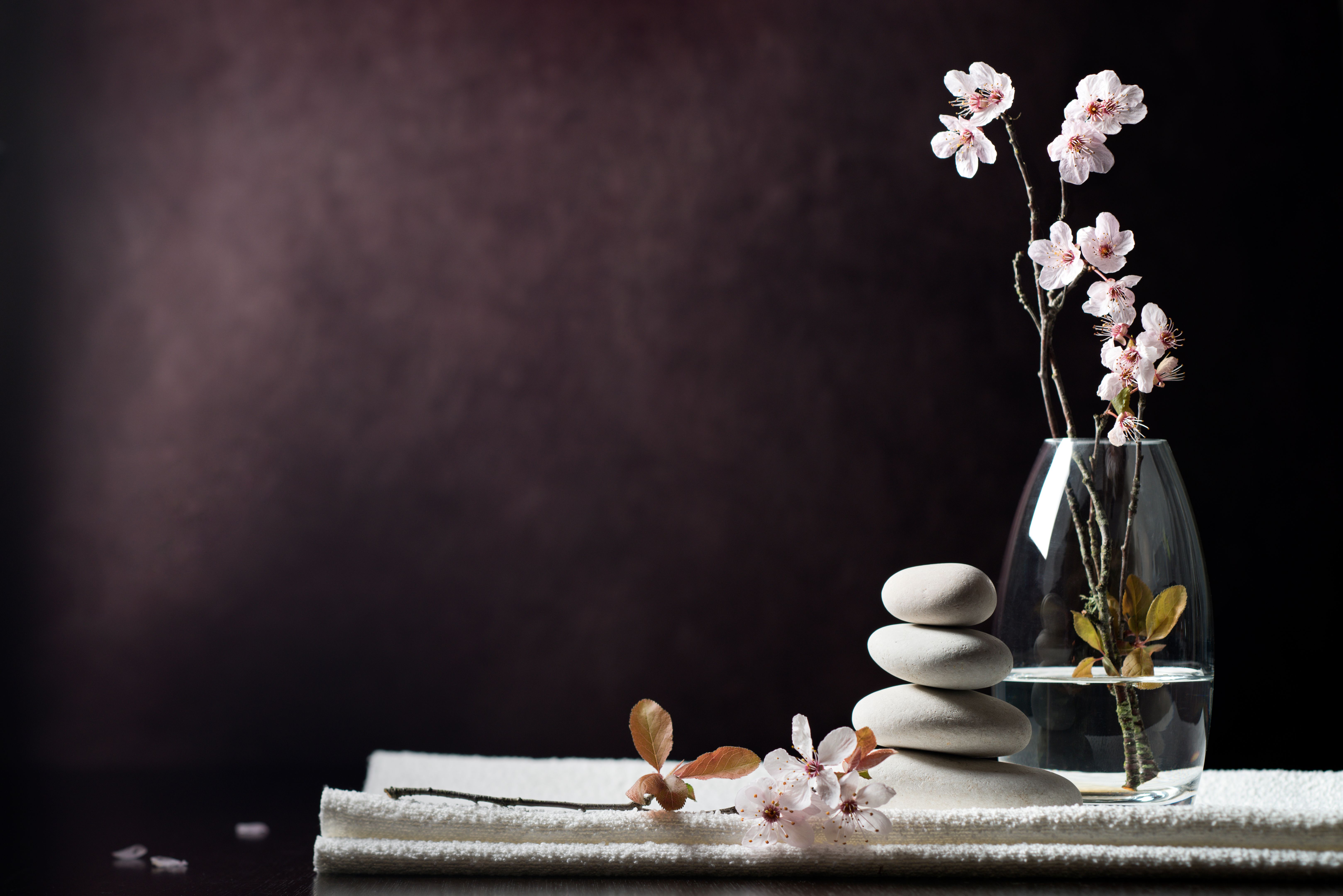 ayurveda therapy
