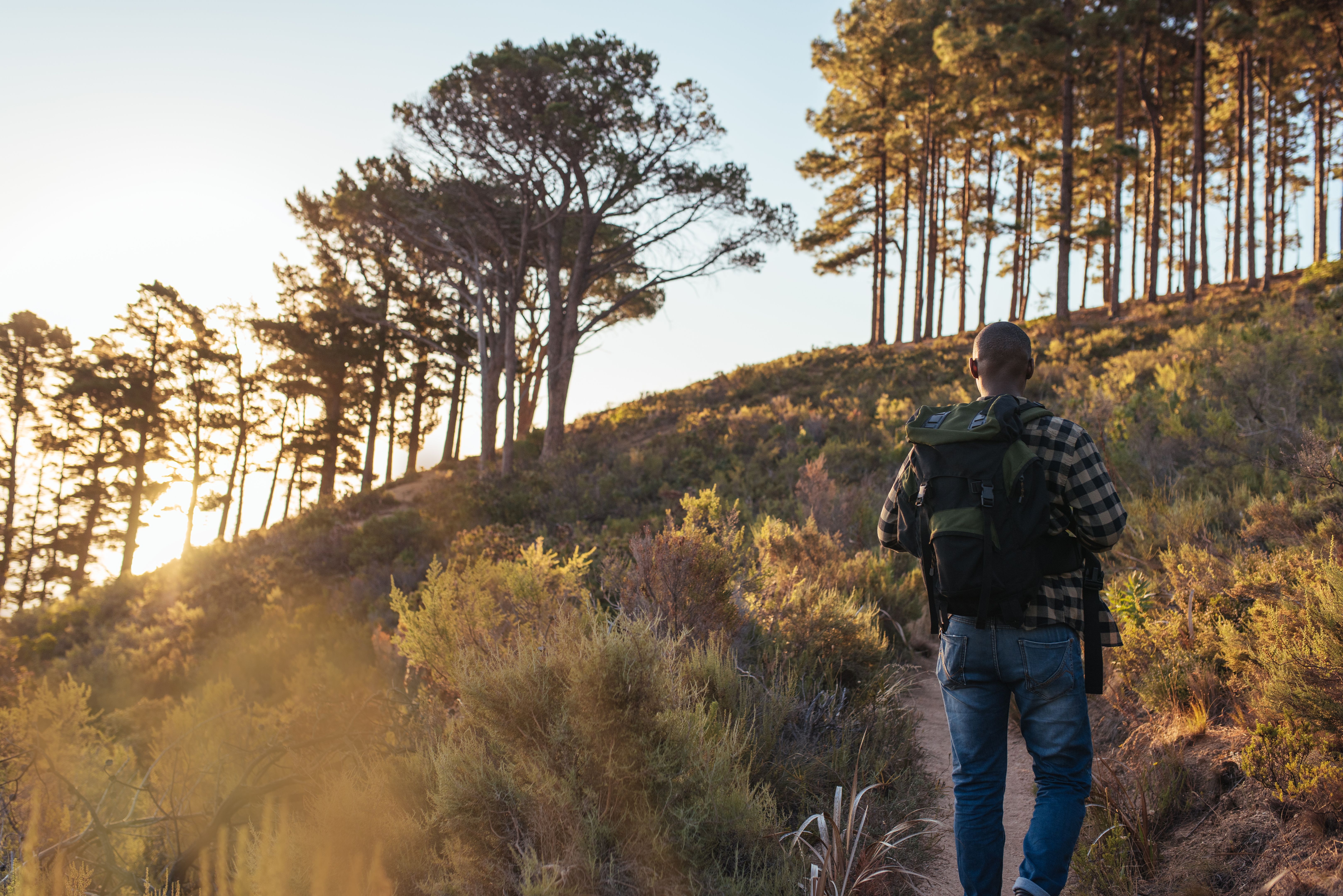 backpack hiking trail