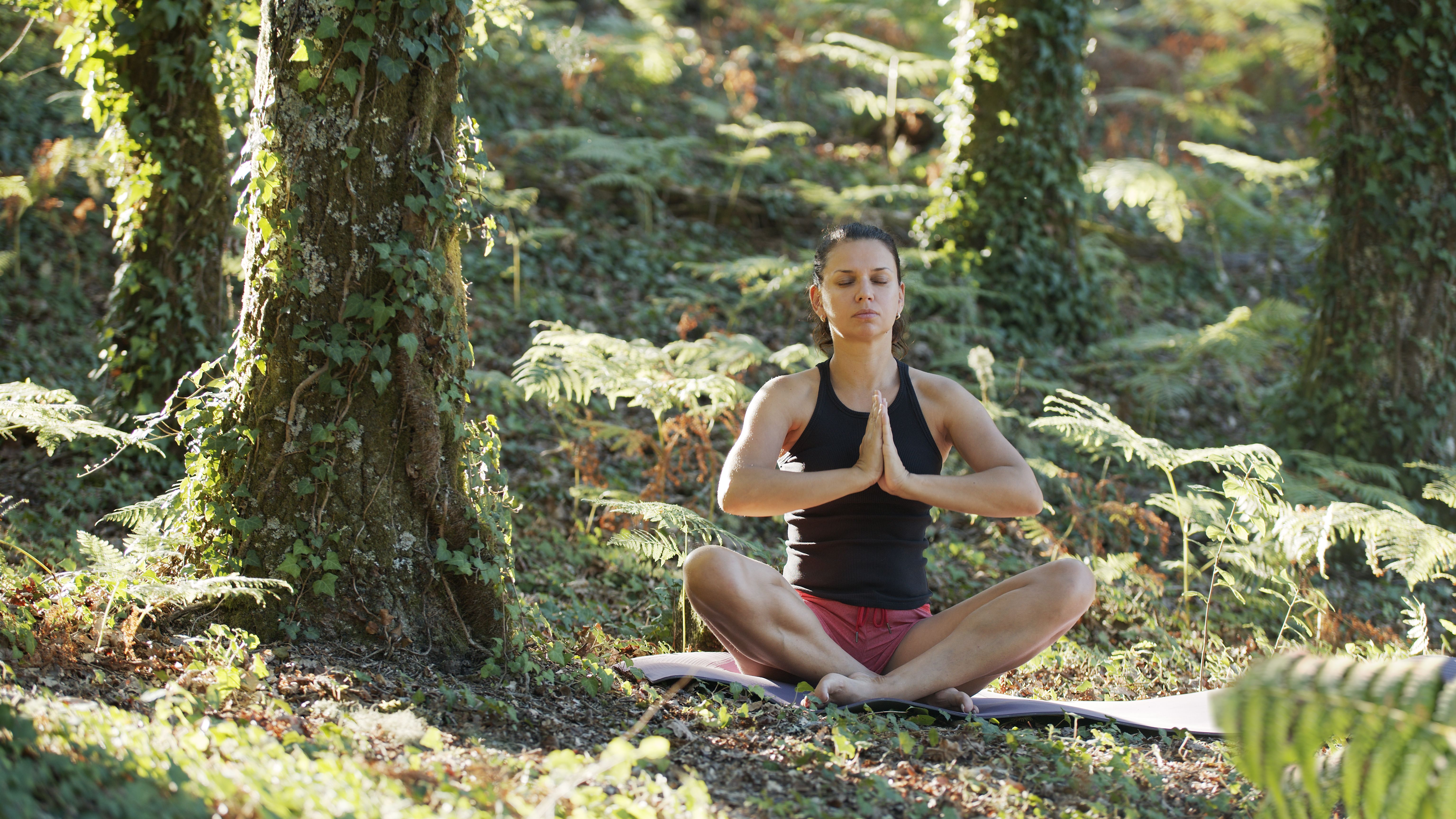 mindfulness benefits