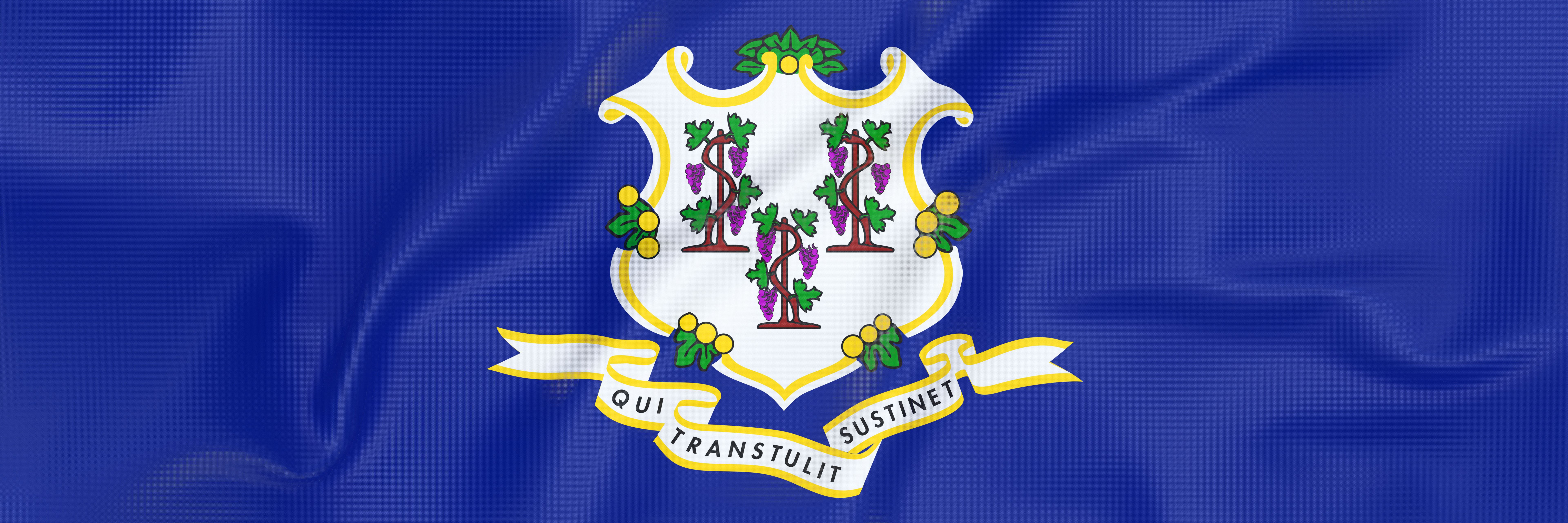 connecticut gun laws