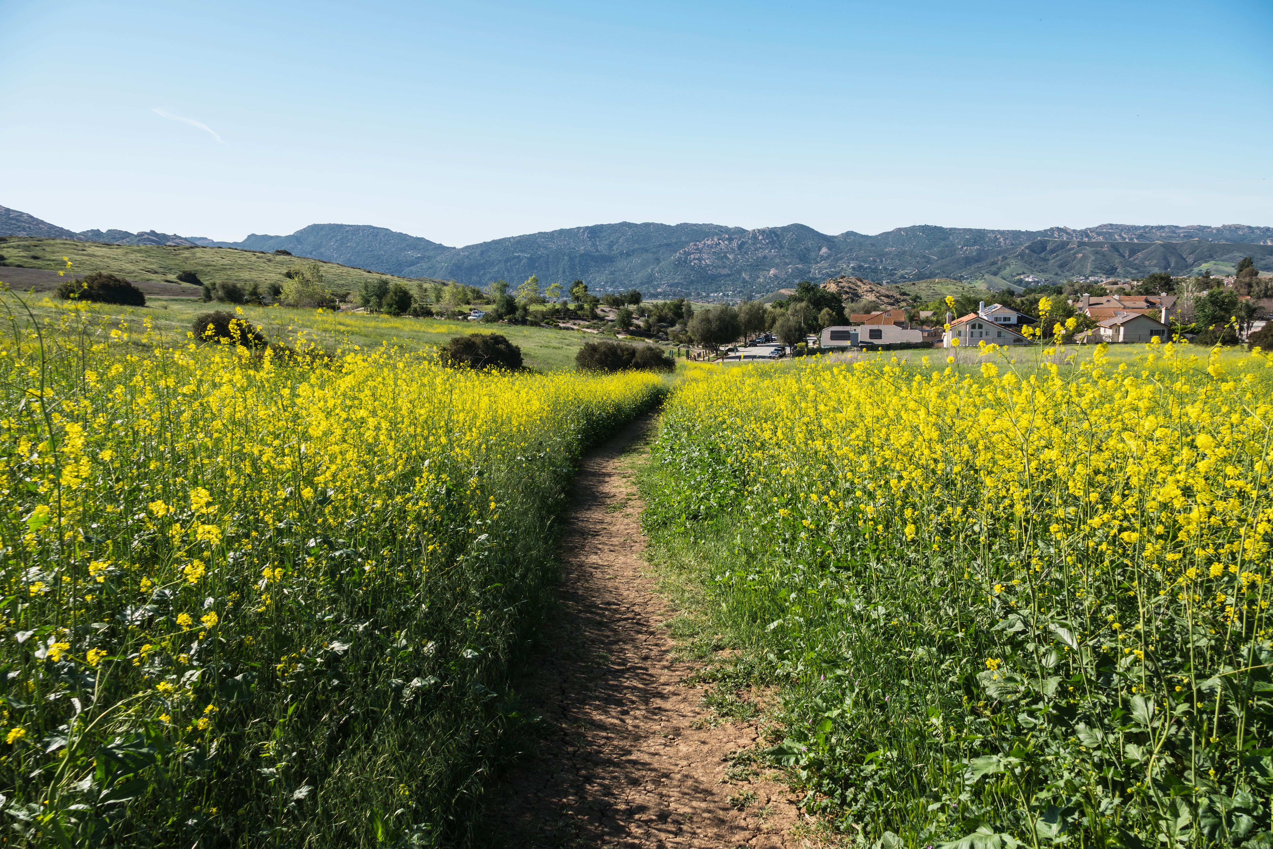 ventura county landscape