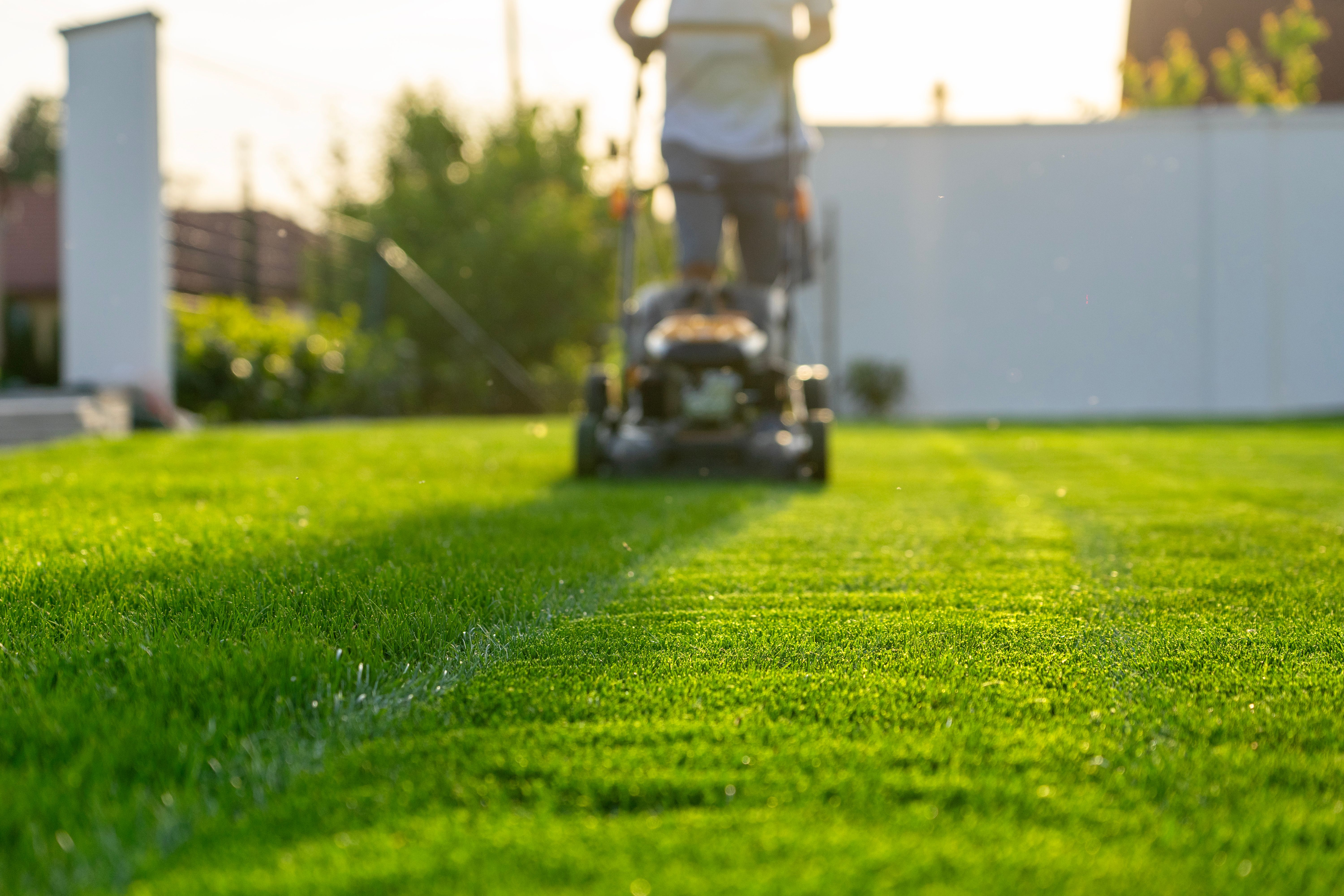 lawn care