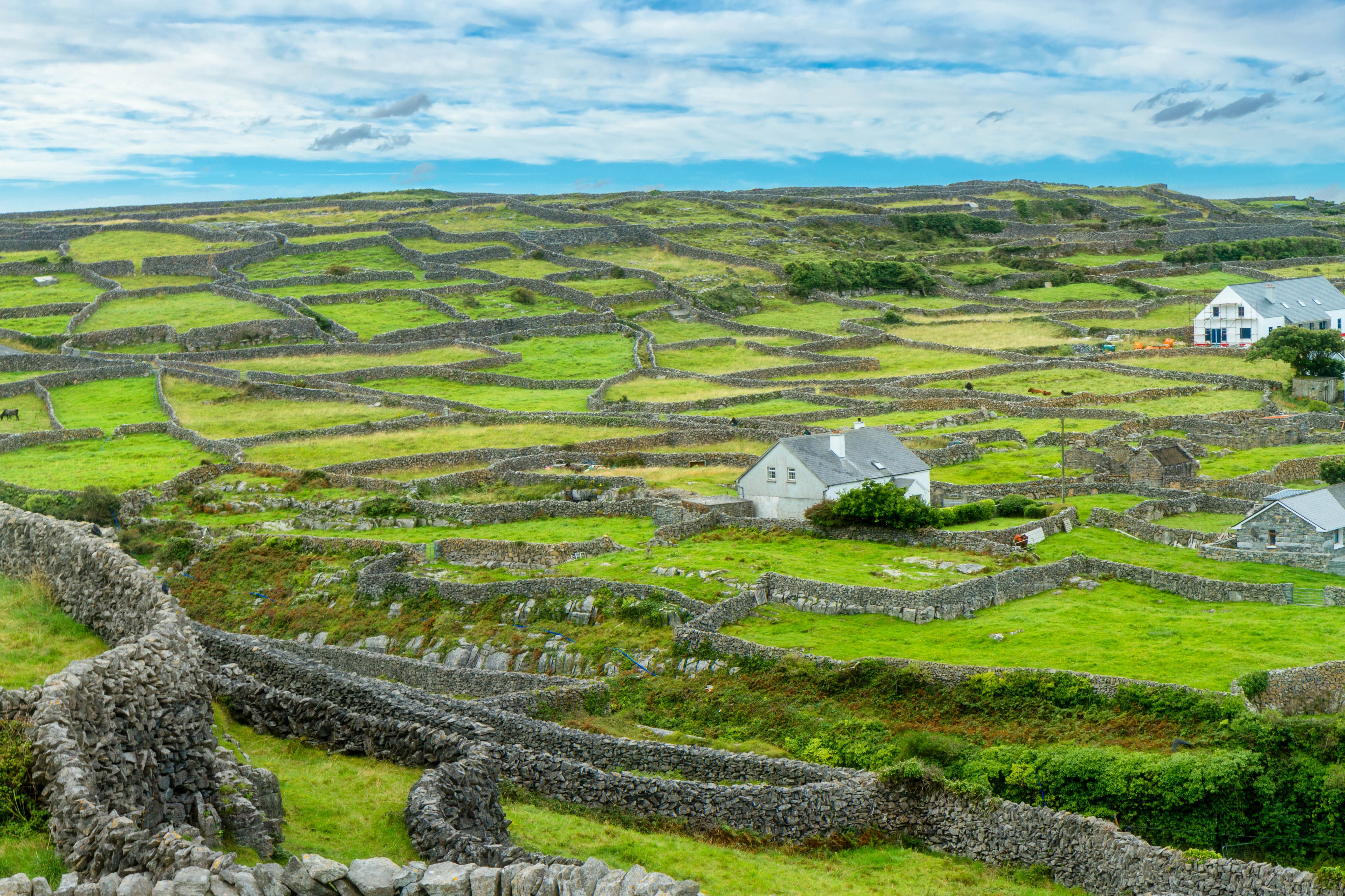 Looking down from the top of hills at a Landscape of green pasture and dry stone walls typical of the Ireland, Aran Islands, Ireland Looking down from the top of hills at a Landscape of green pasture and dry stone walls typical of the Ireland, Aran Islands, Ireland