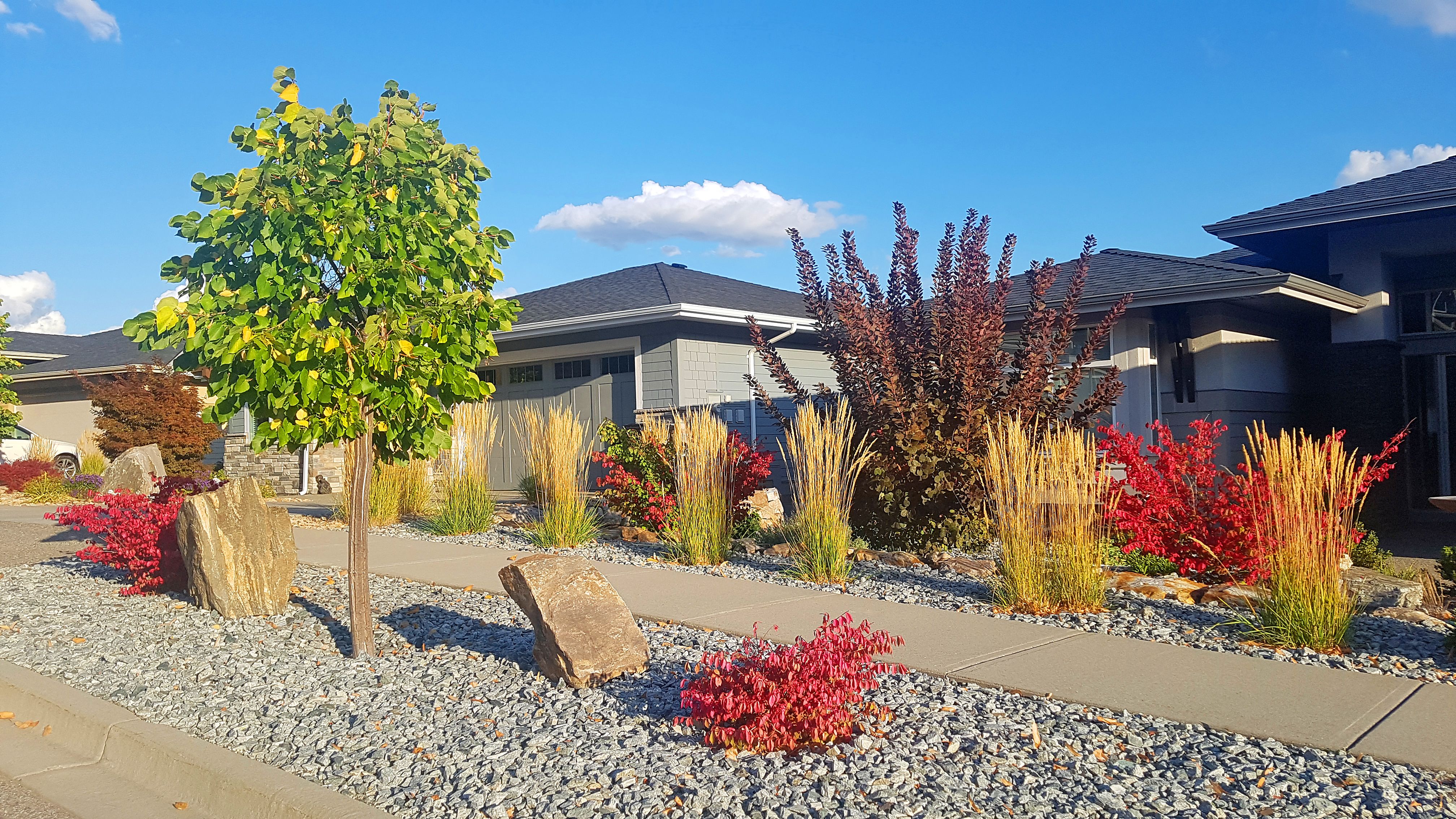 curb appeal transformation