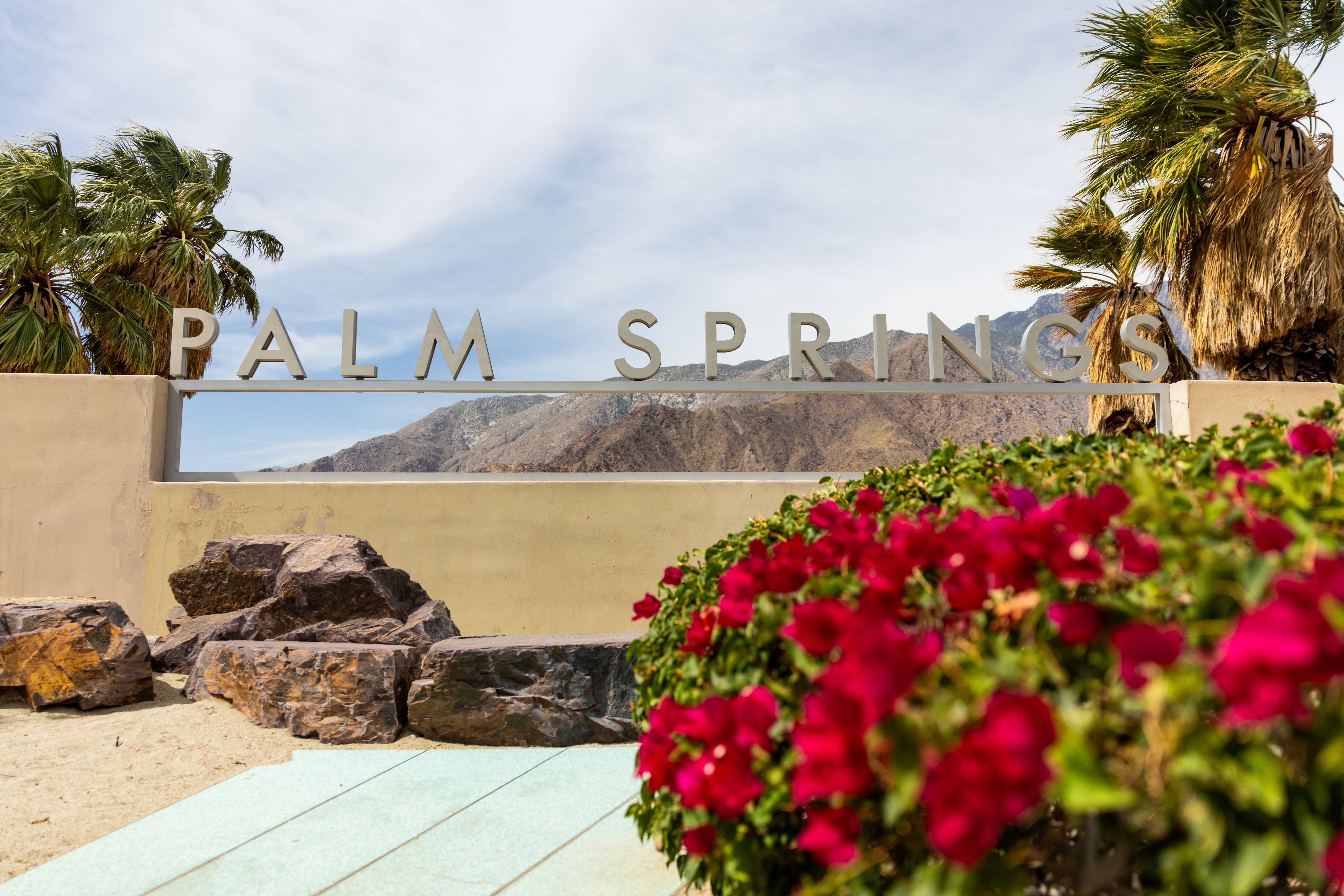 palm springs landscape