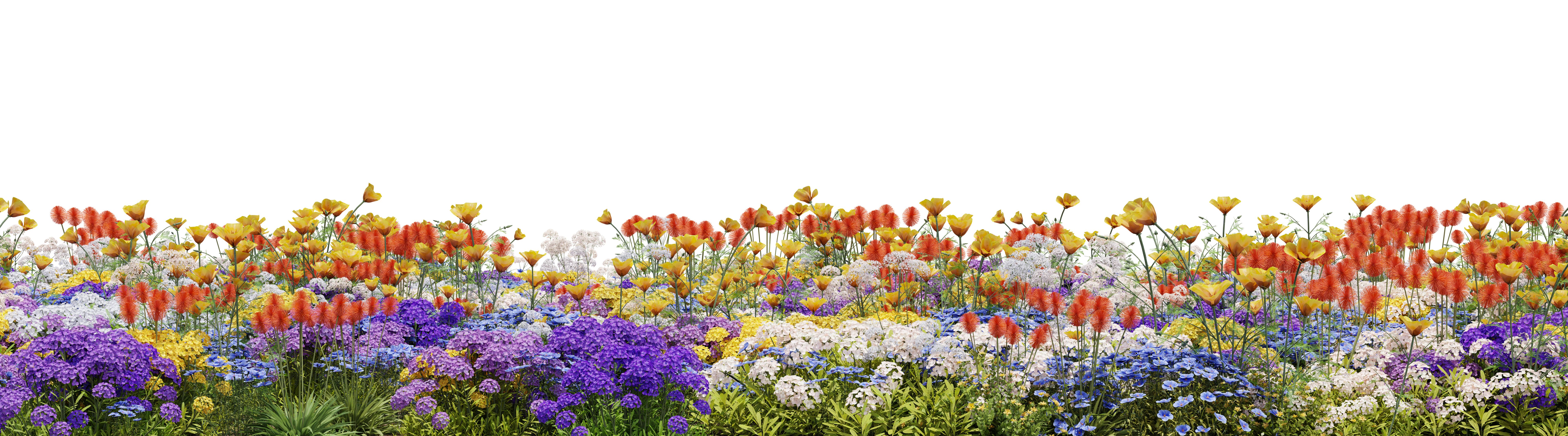 spring flowers garden