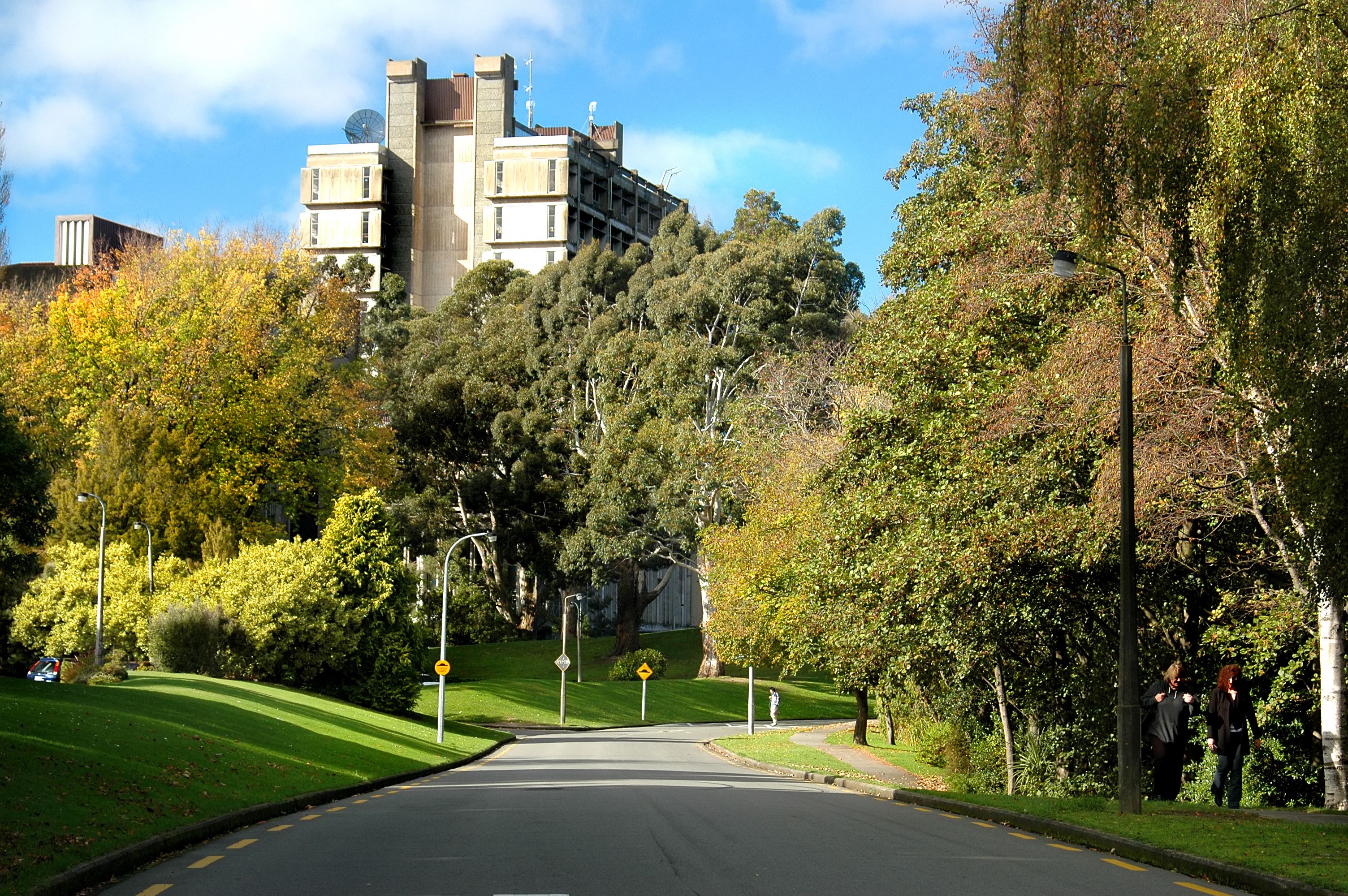 massey university campus