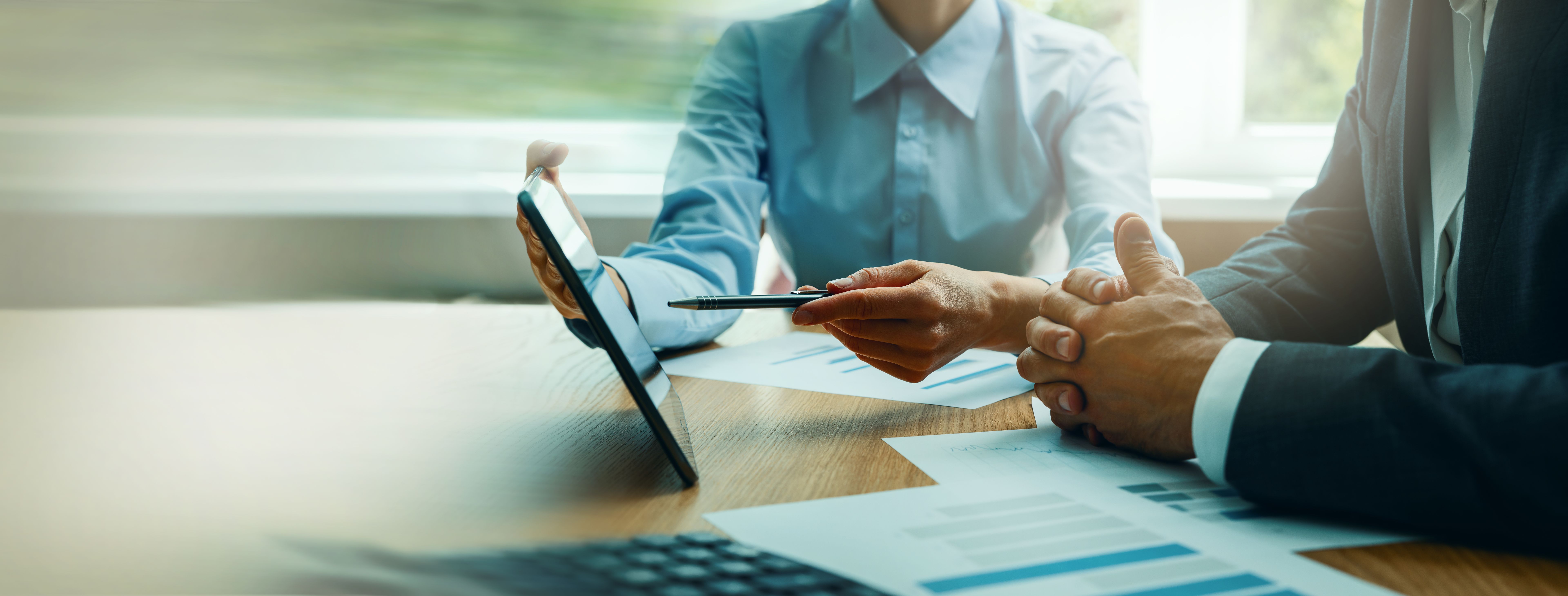 erp consultant
