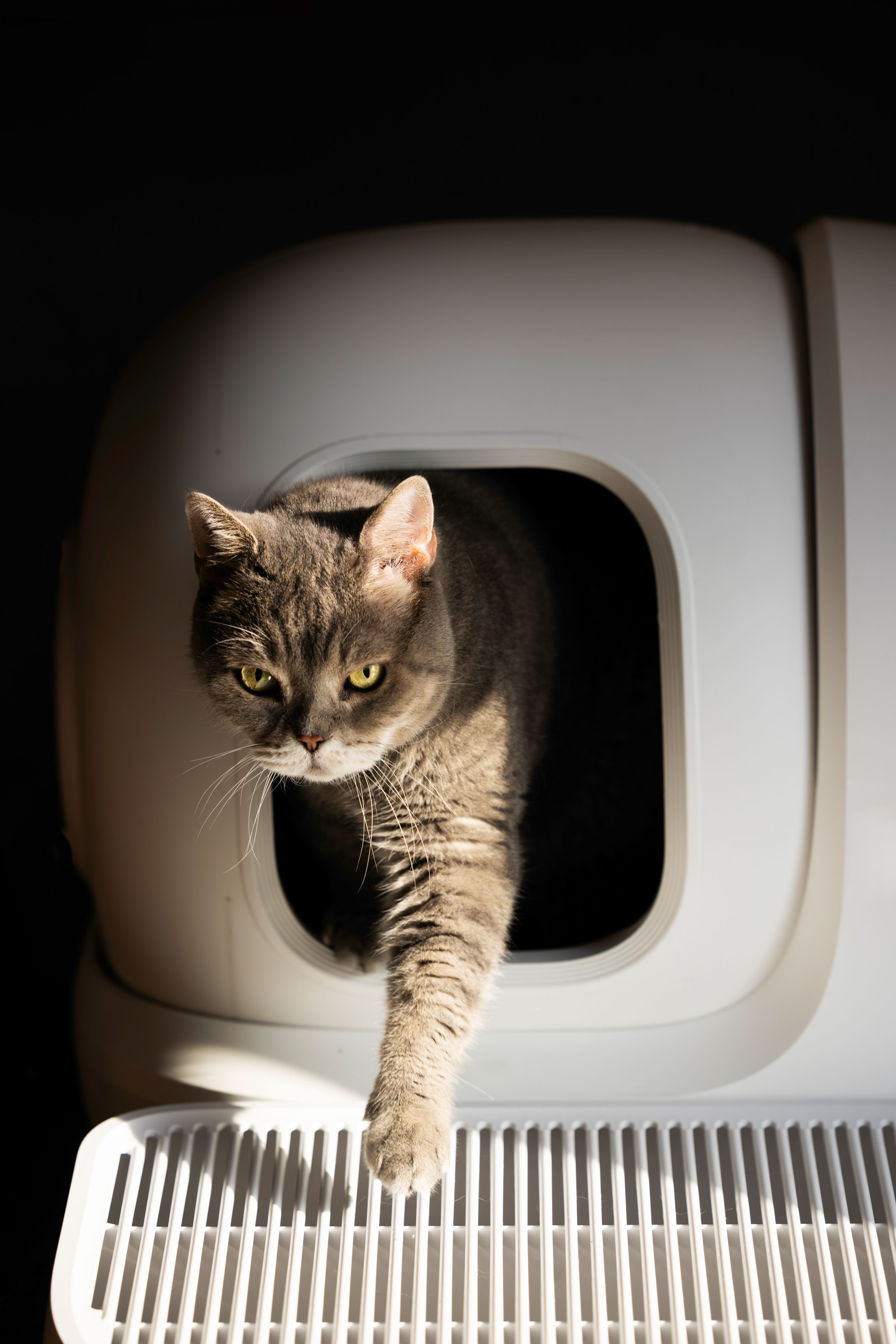cleaning wooden crate