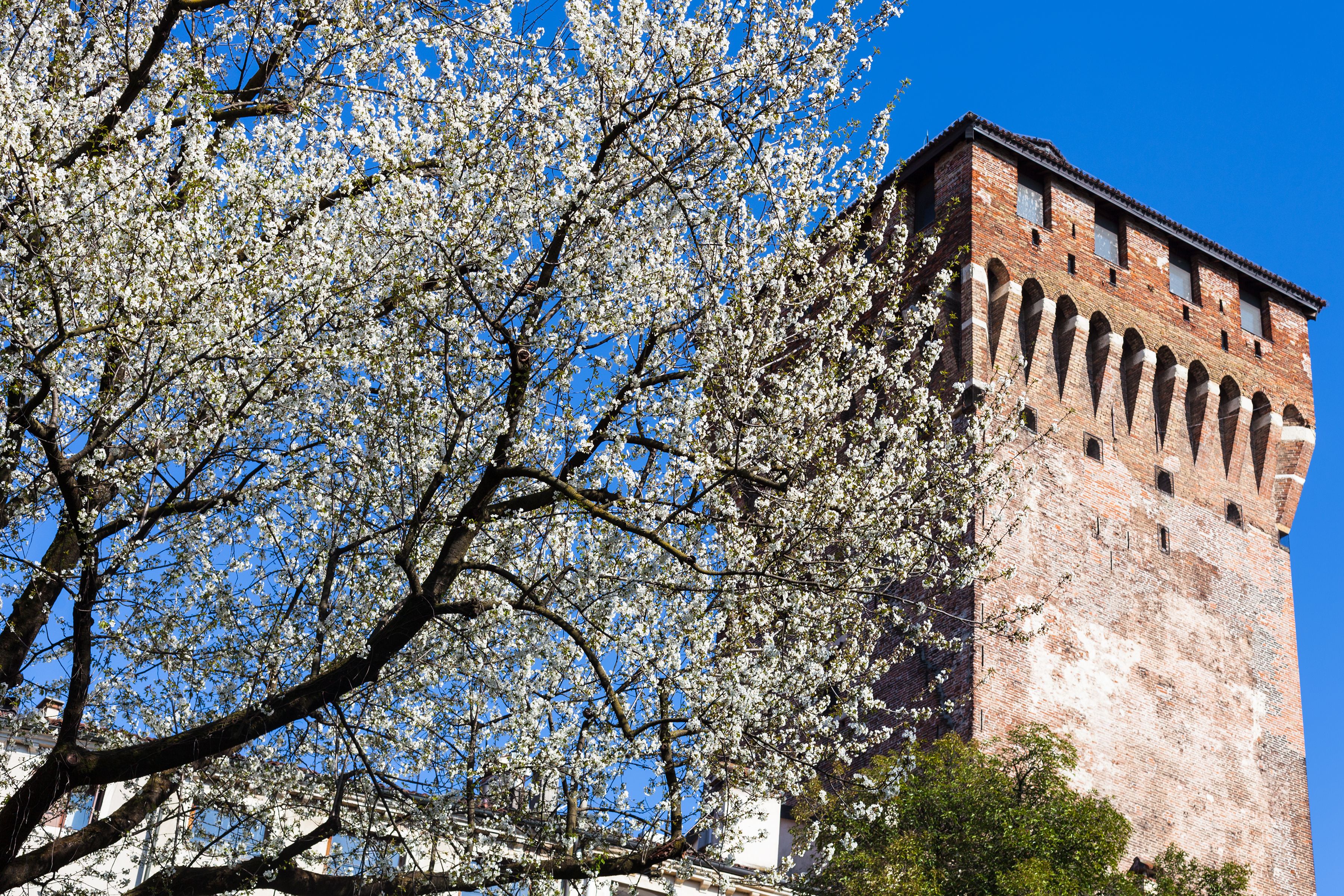 city of castello spring