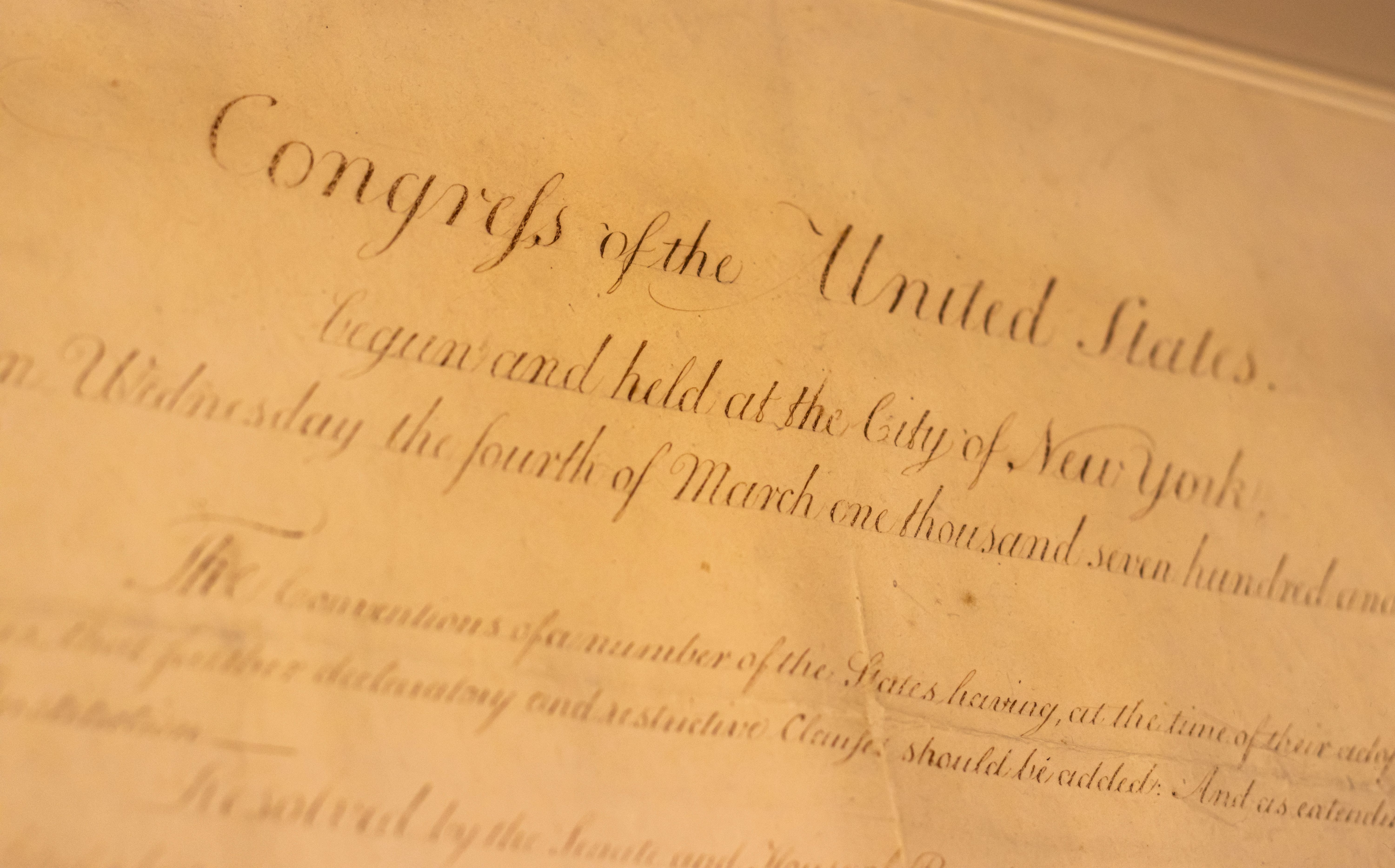 constitution rights