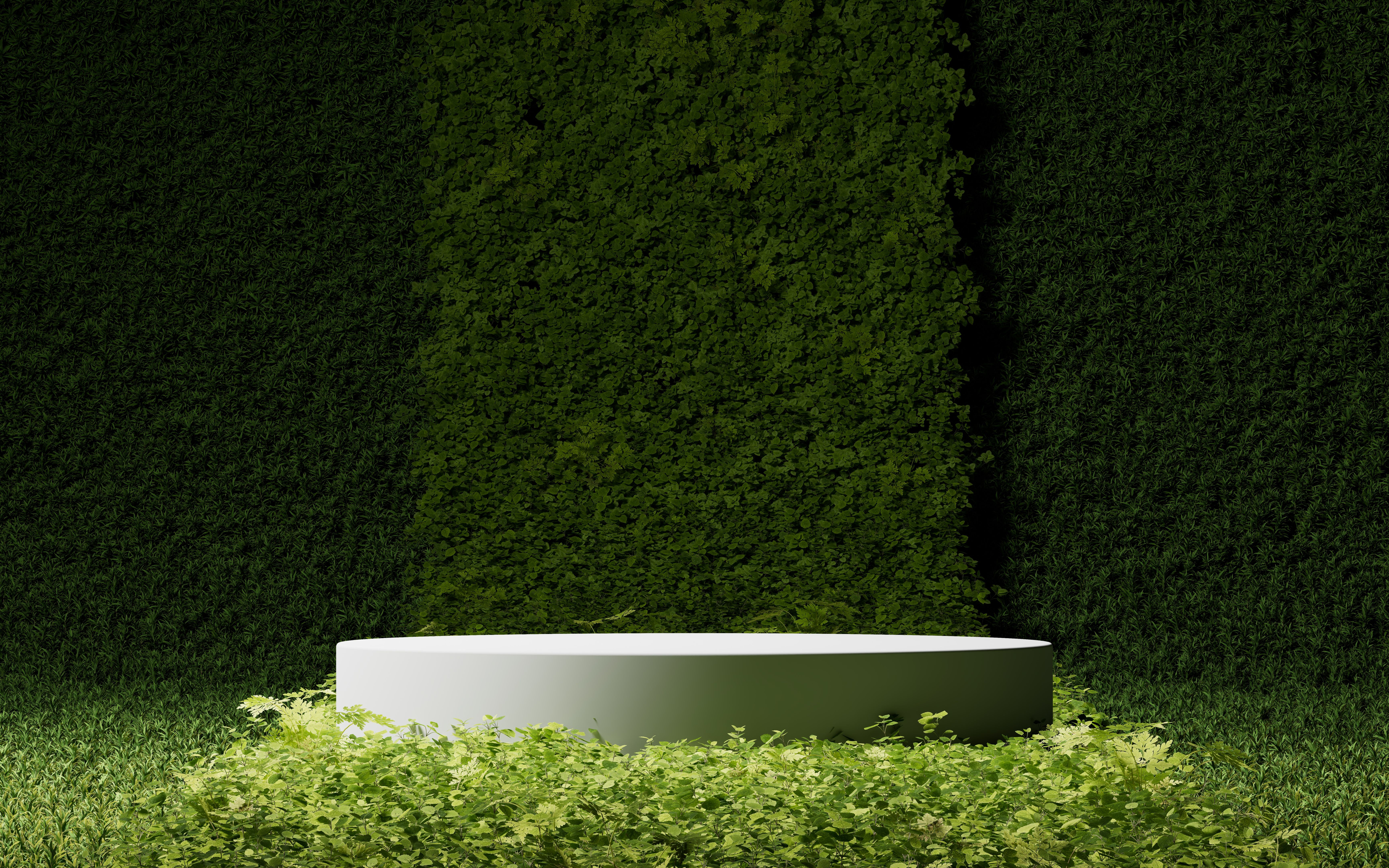 natural beauty products