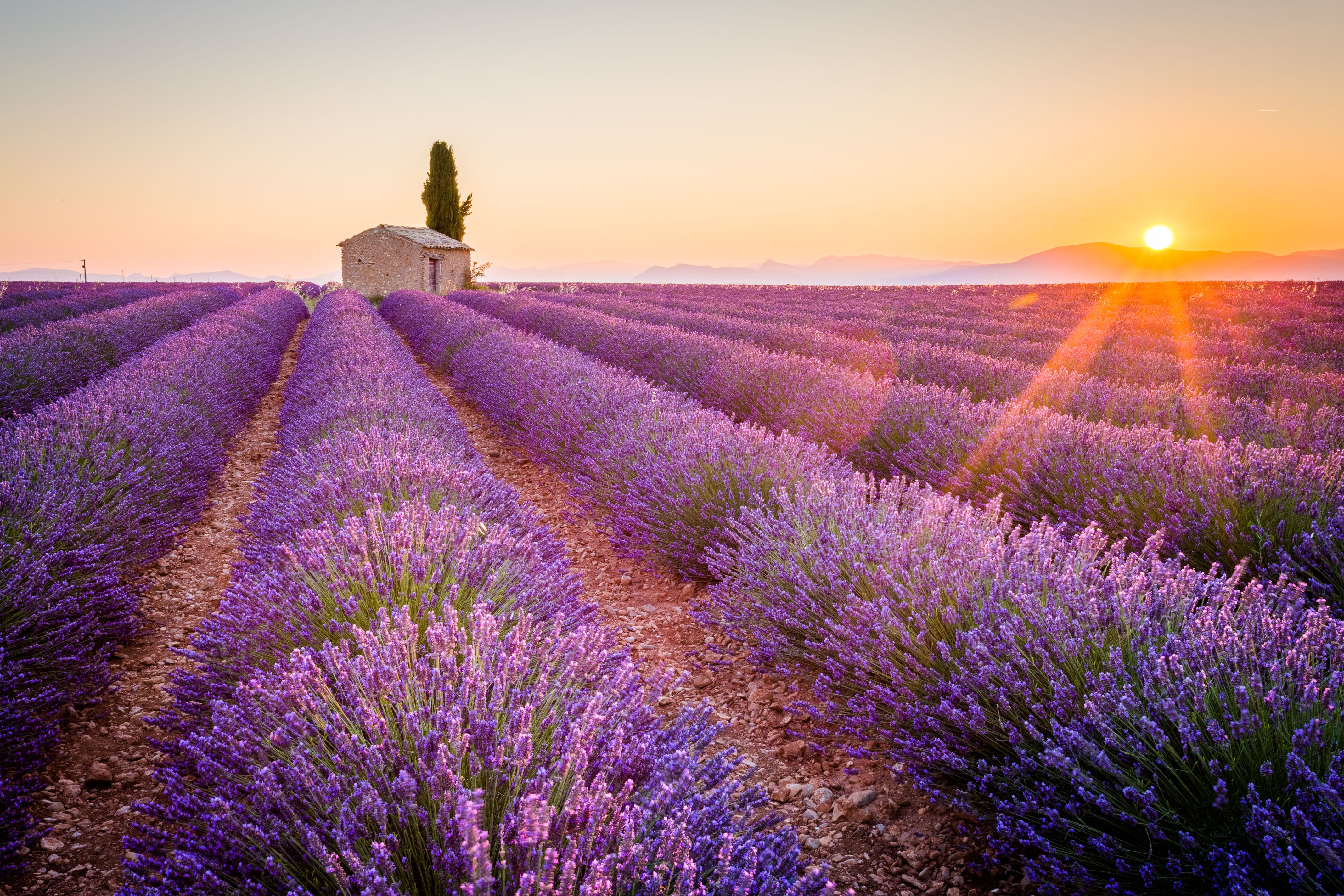 Provence nature