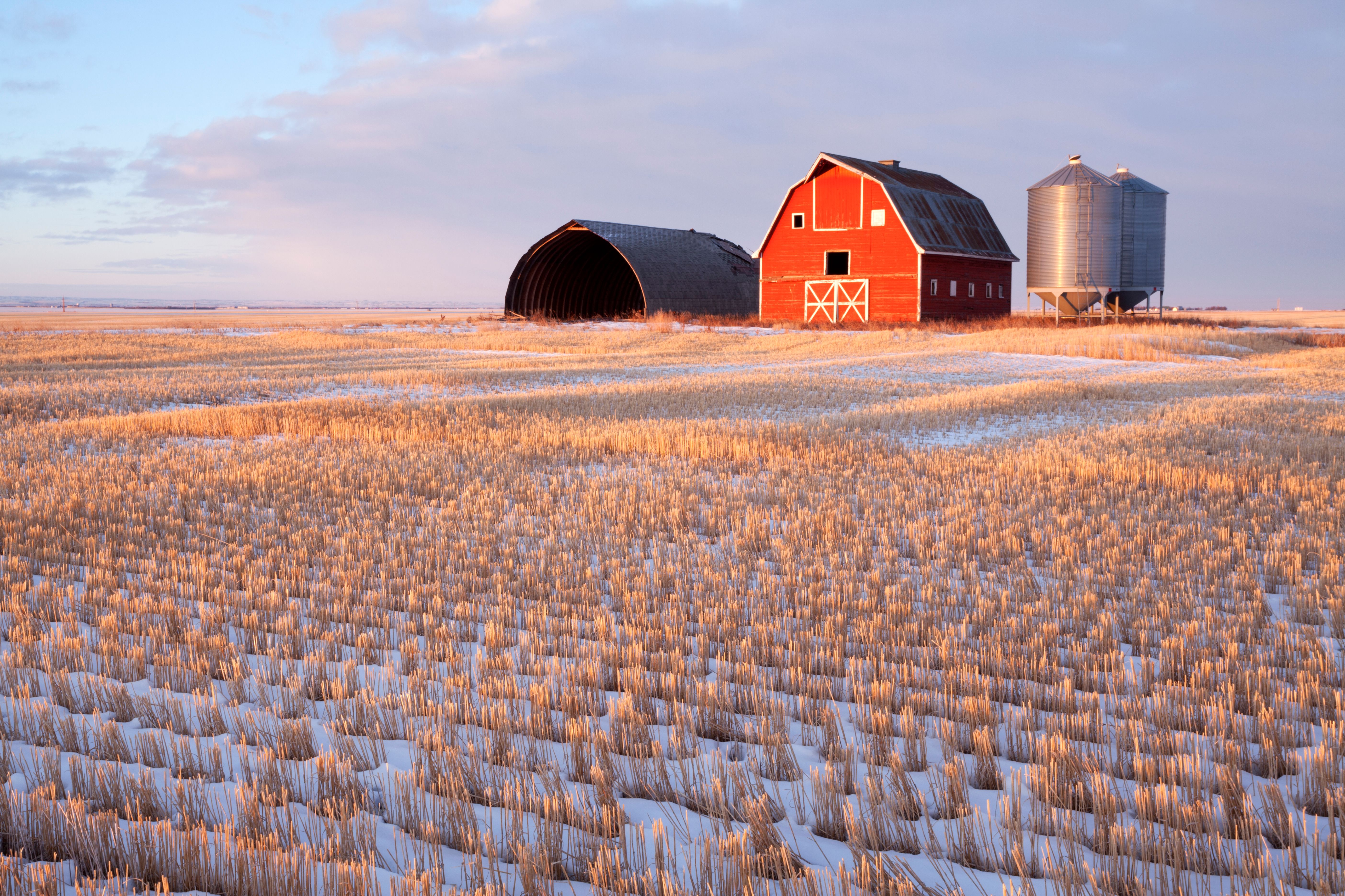 western canada barn