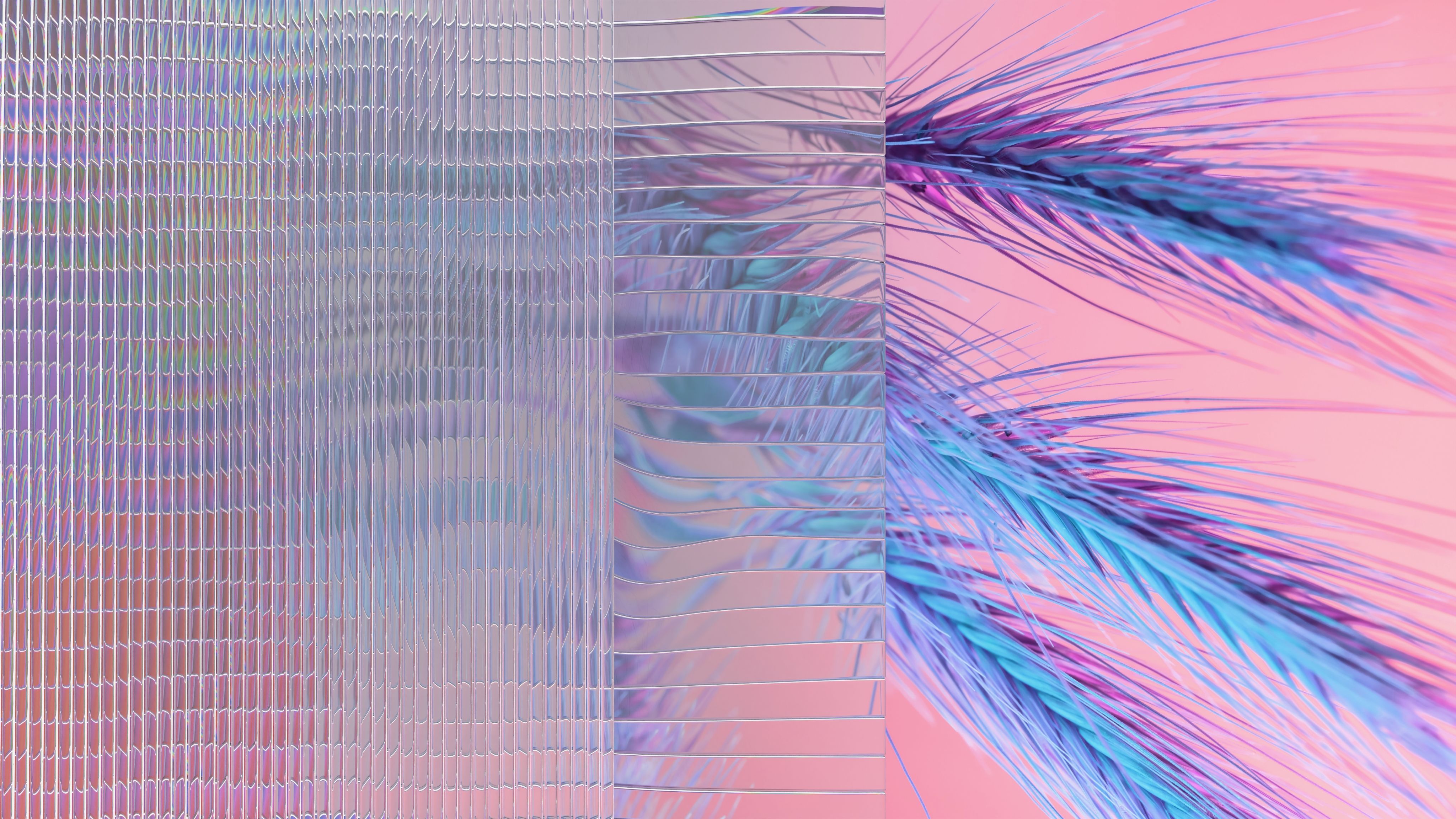 color palette inspiration