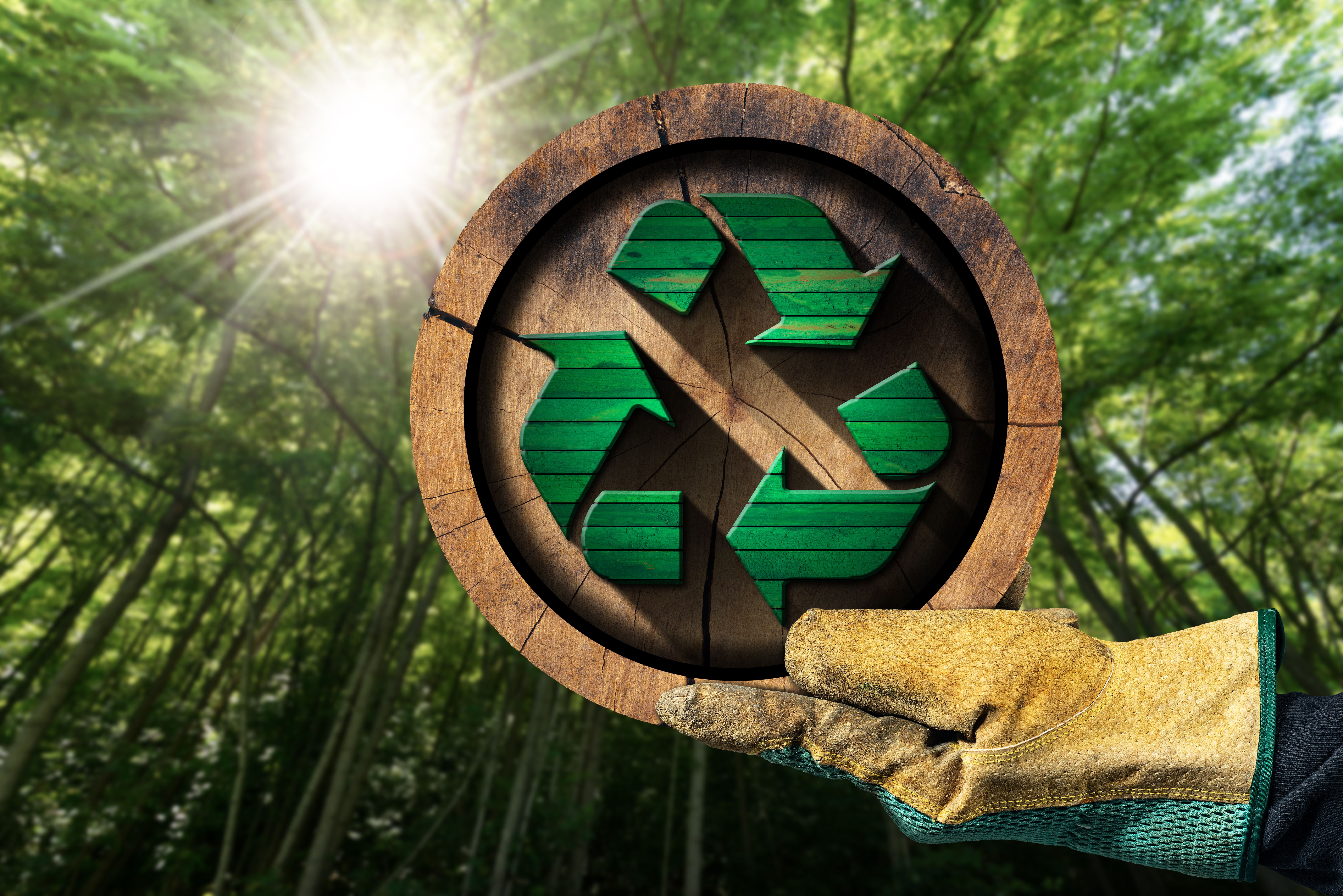 sustainable building materials