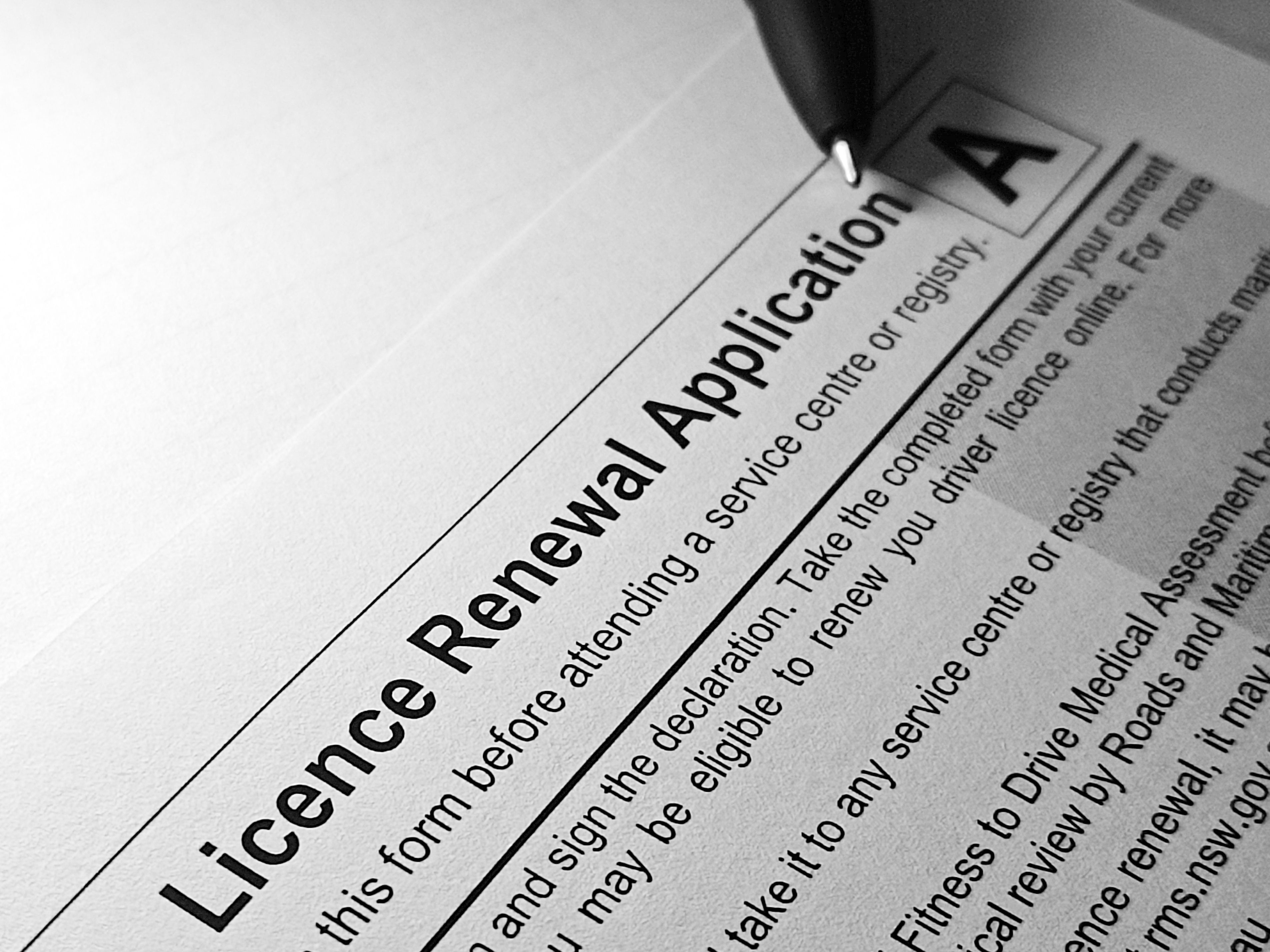 business license application