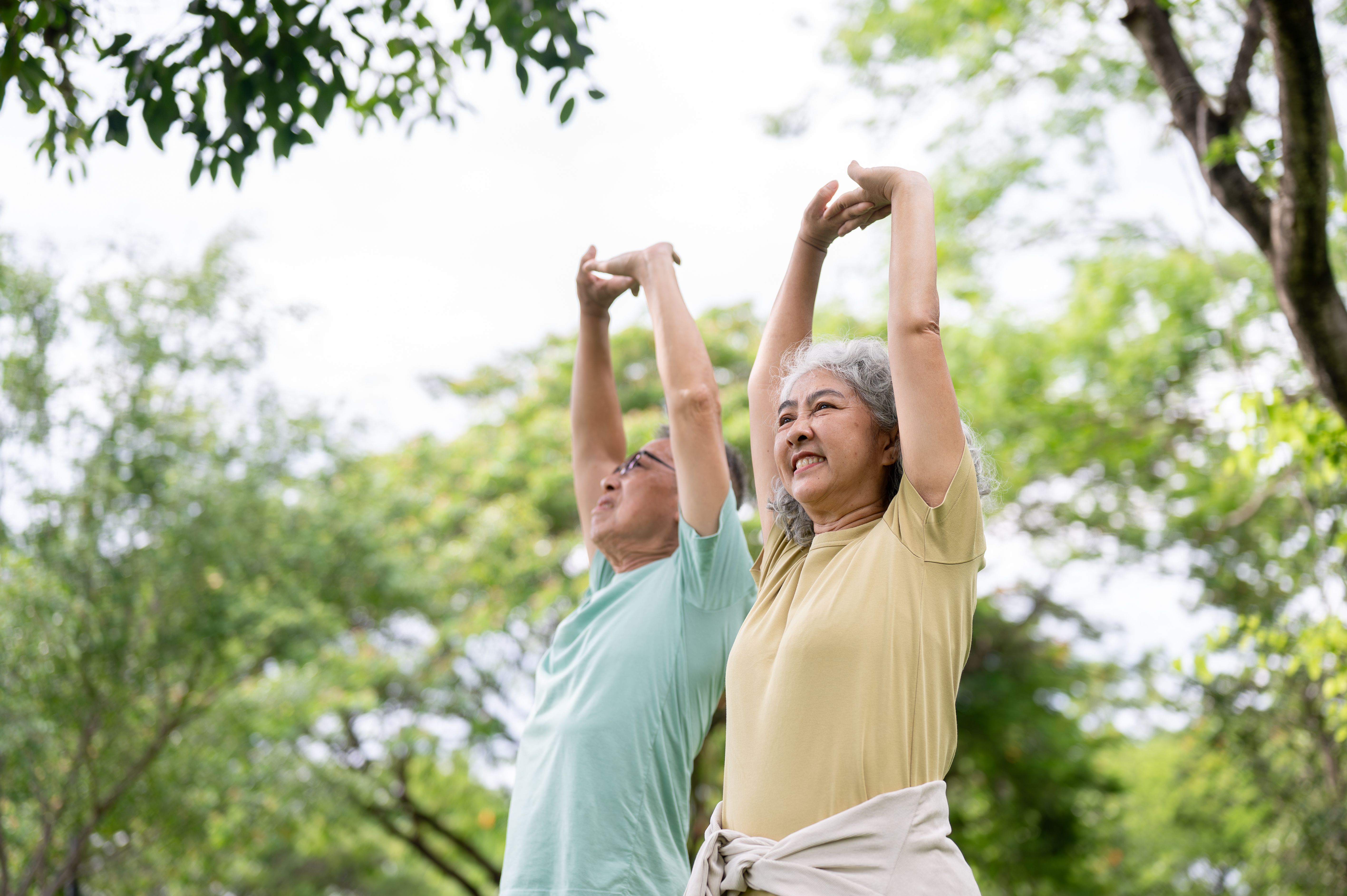 fitness program seniors