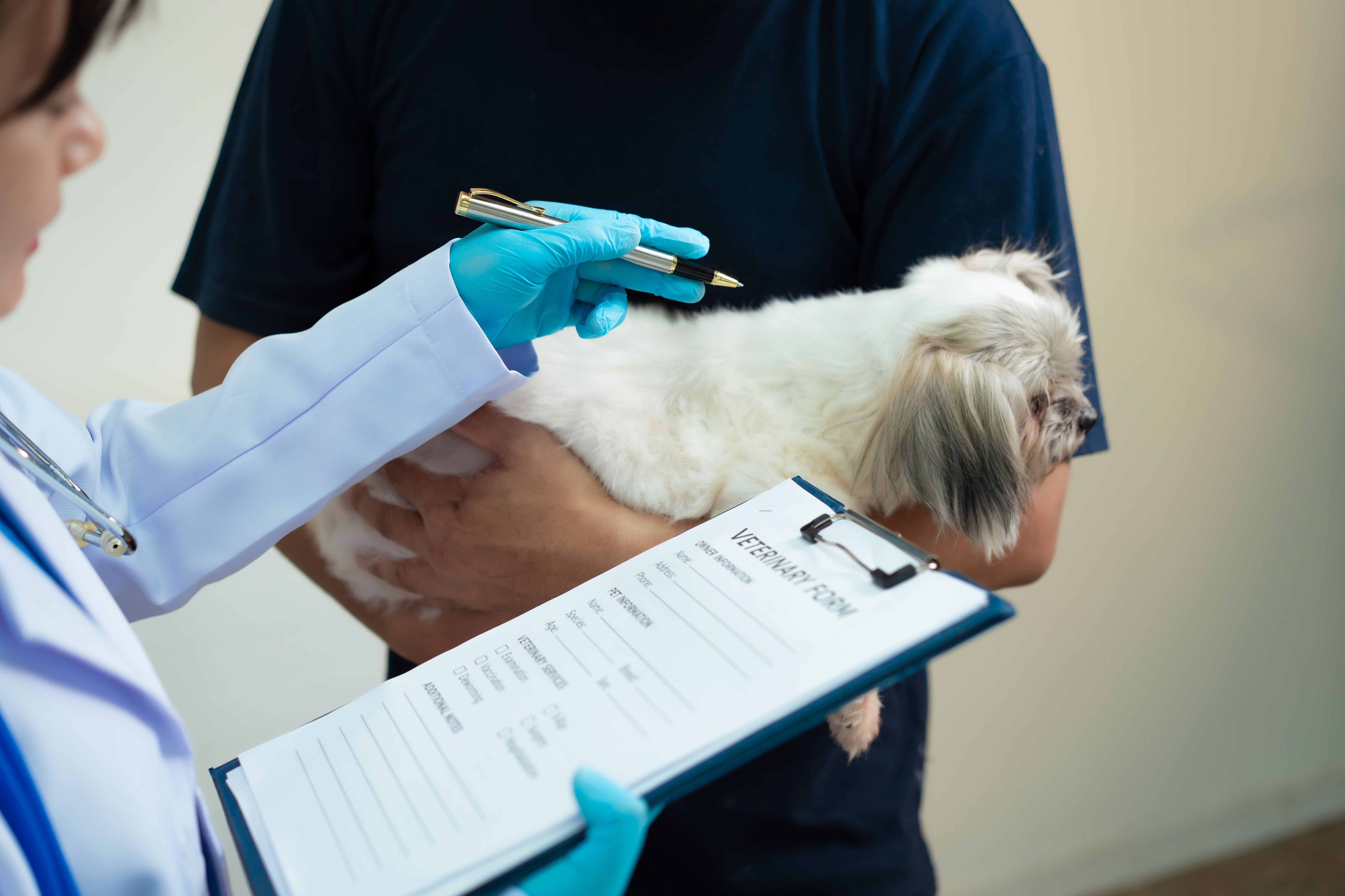 pet vaccination