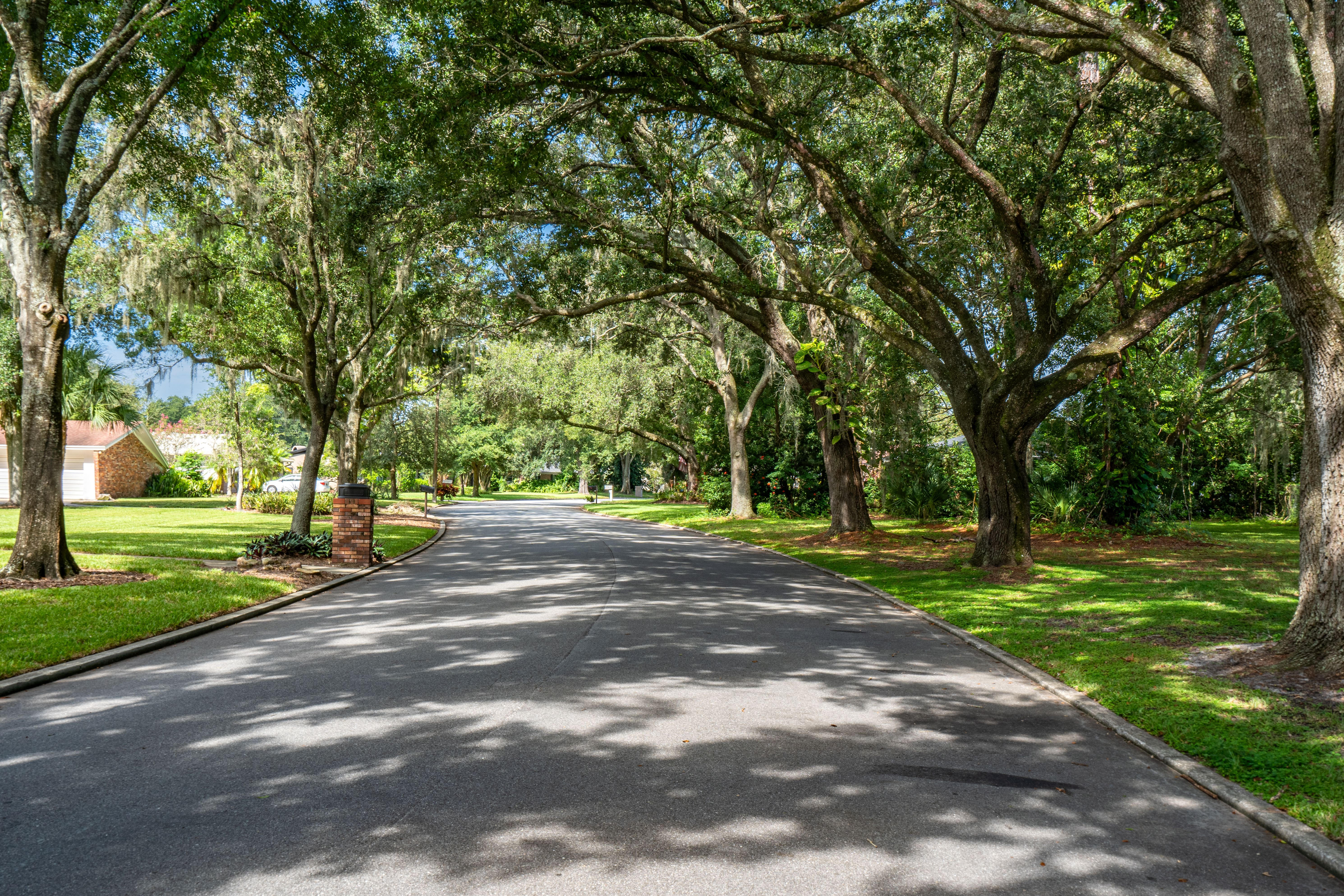 Beautiful Spanish Moss and Oak Tree Lined Classic Orlando Florida Residential Neighborhood