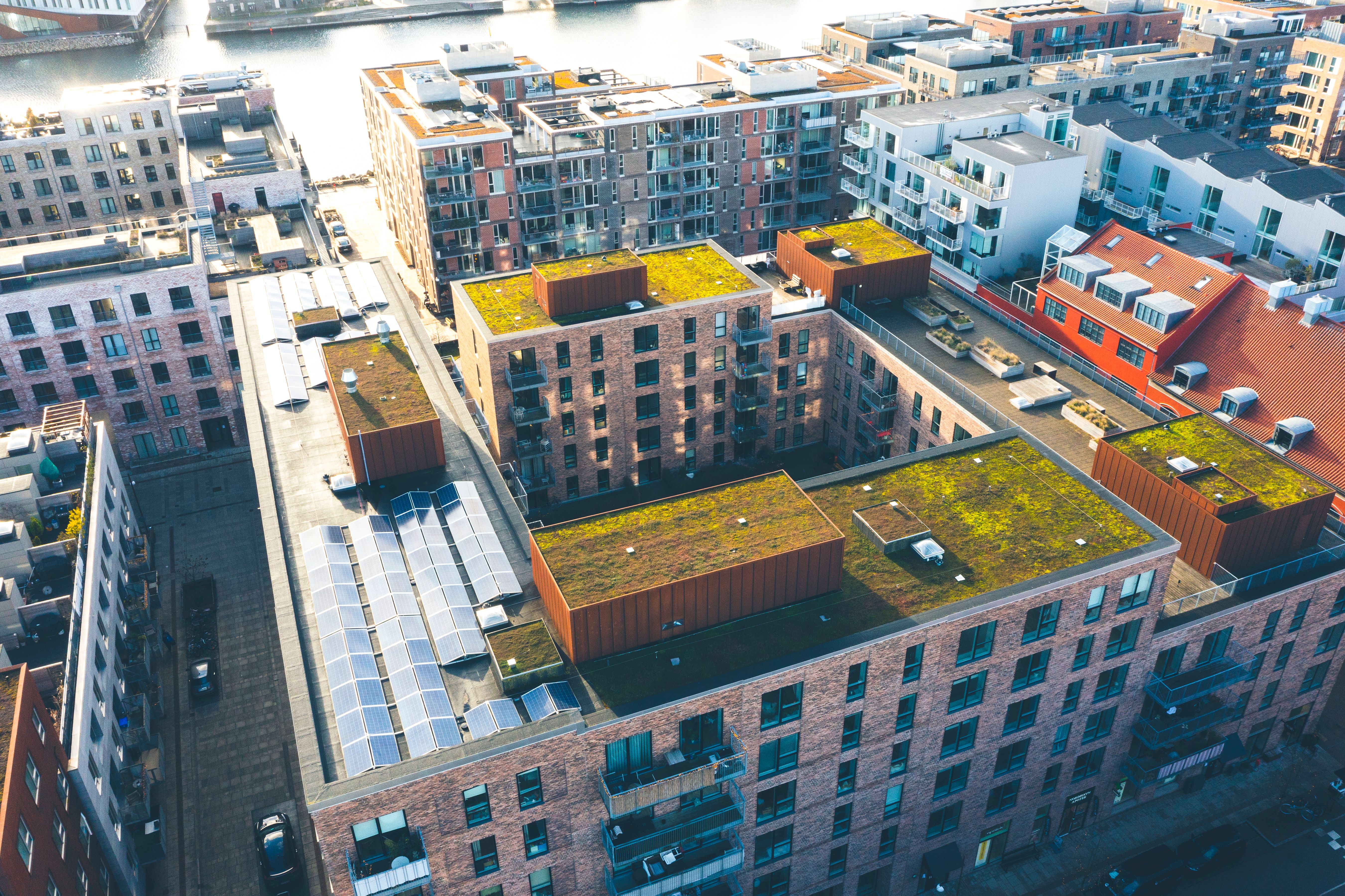 roofing transformation