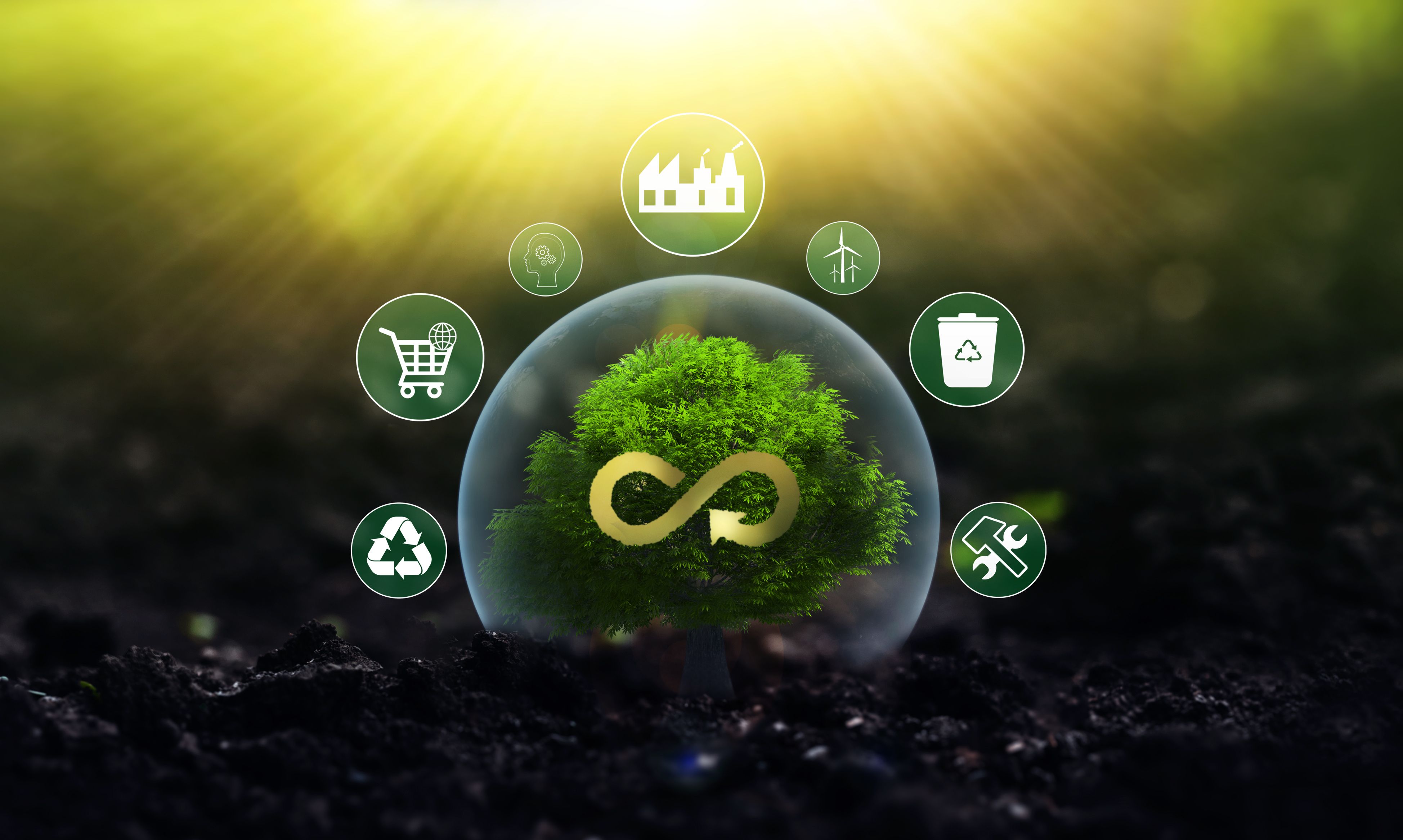 innovative sustainable products