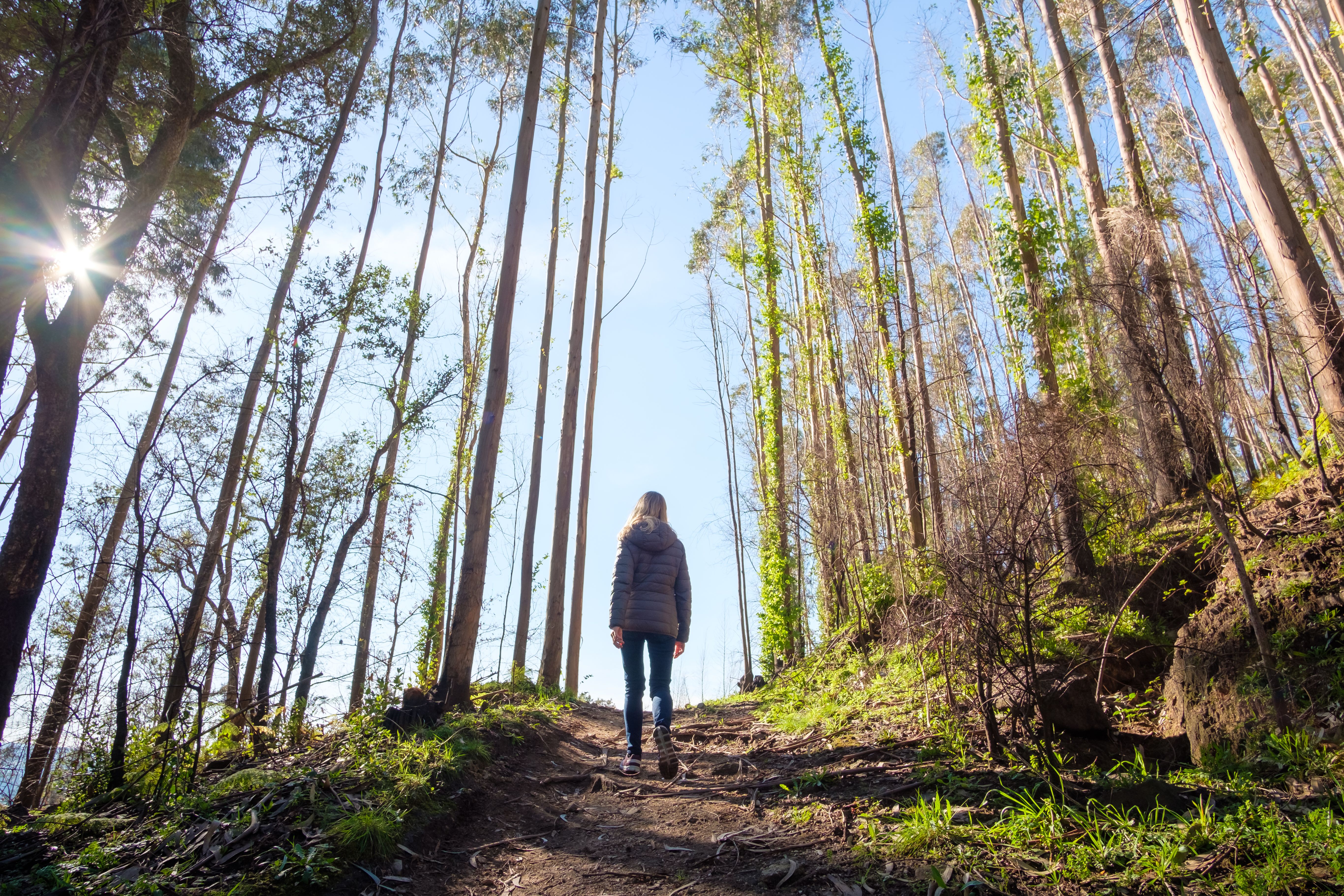 portugal hiking nature