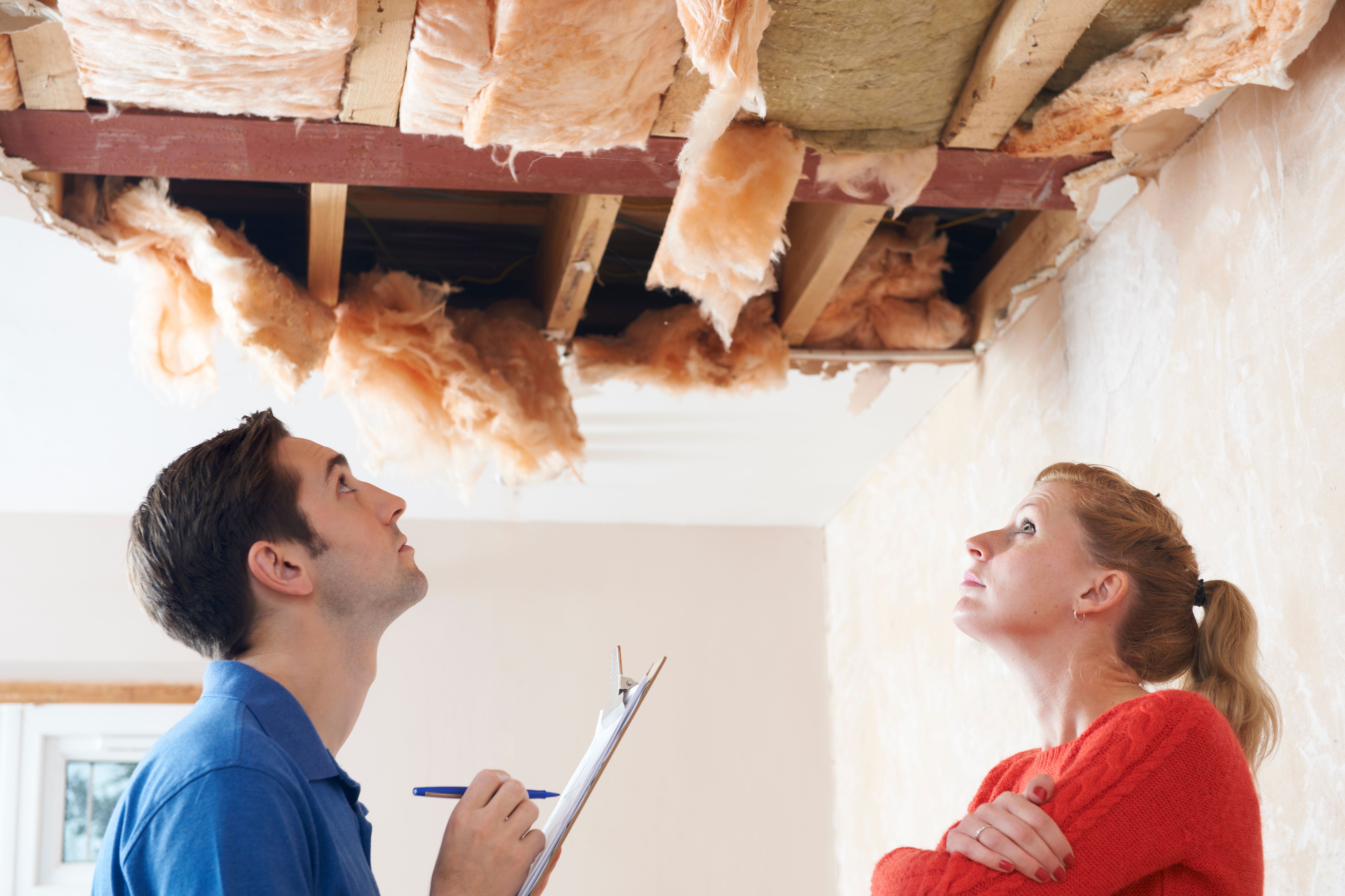 contractor quotes