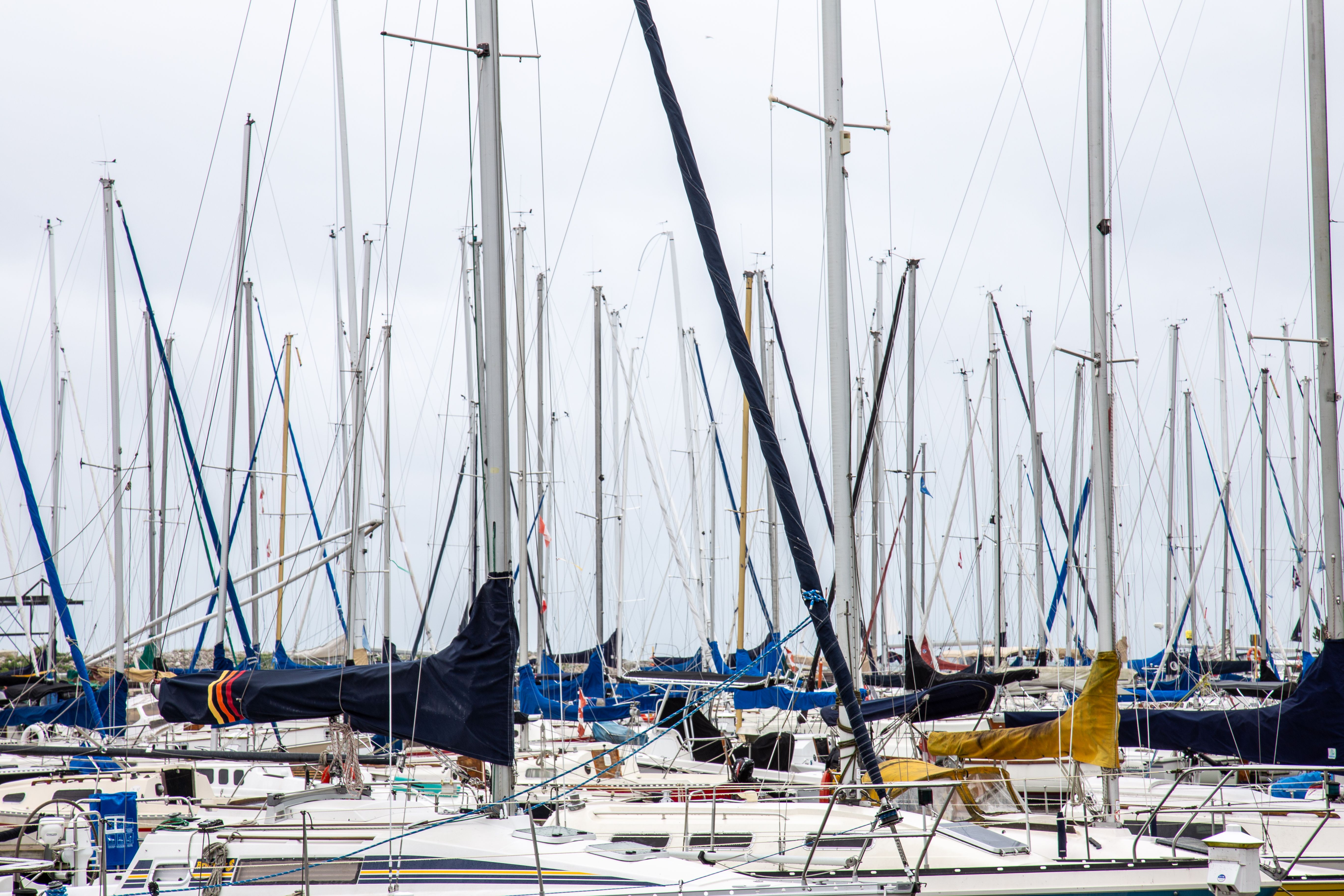 marina del rey weather