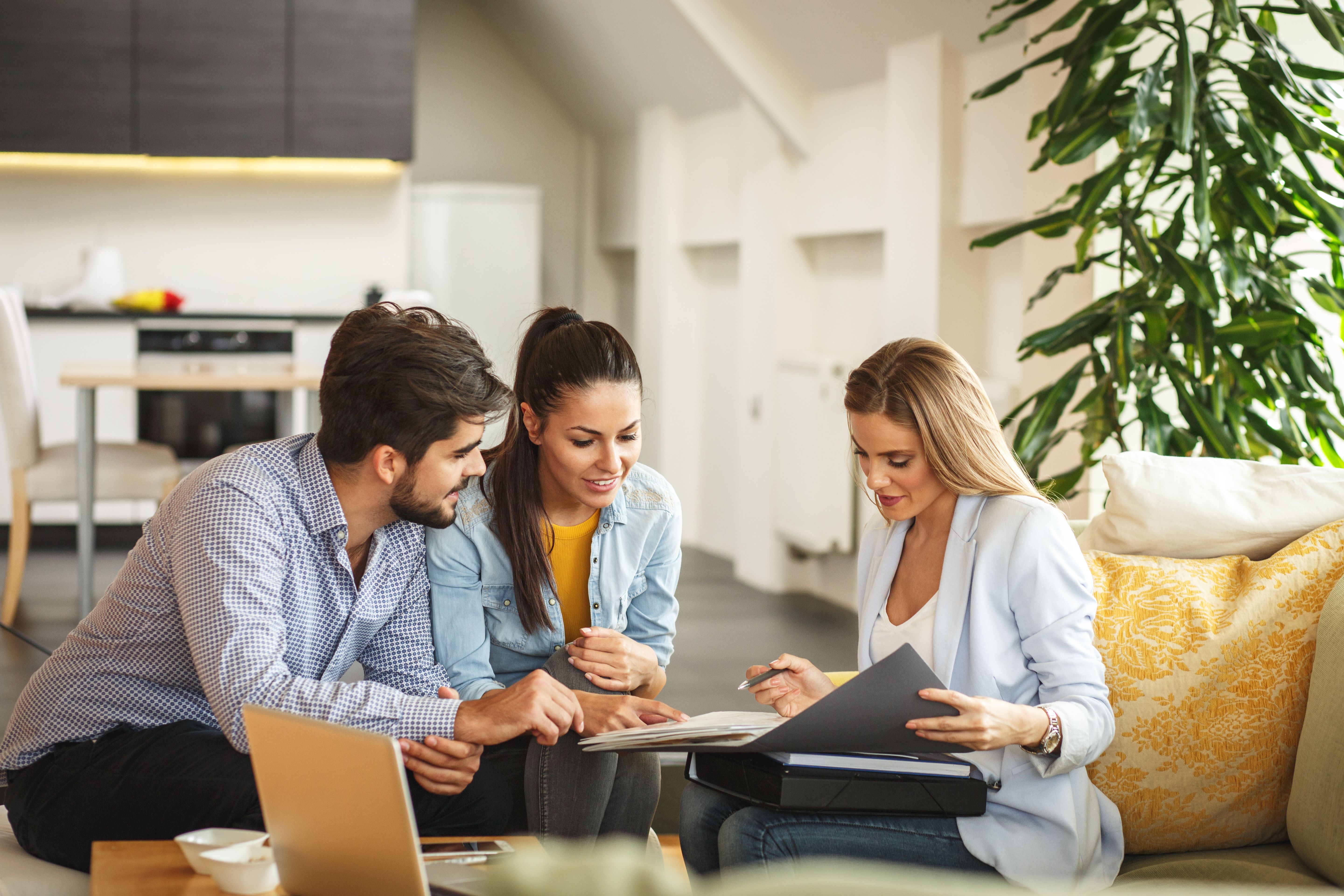 estate agent consultation