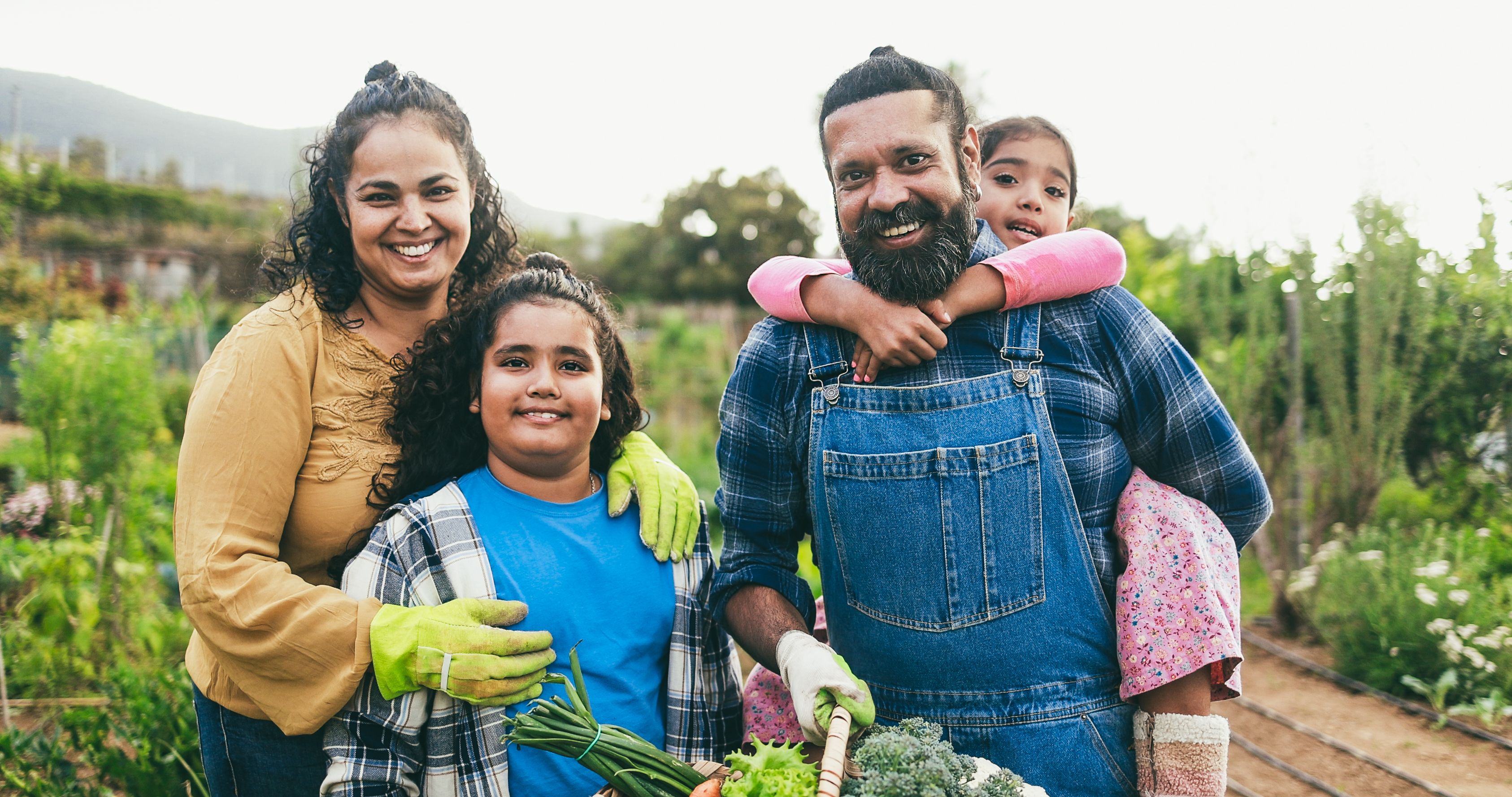 family picking vegetables