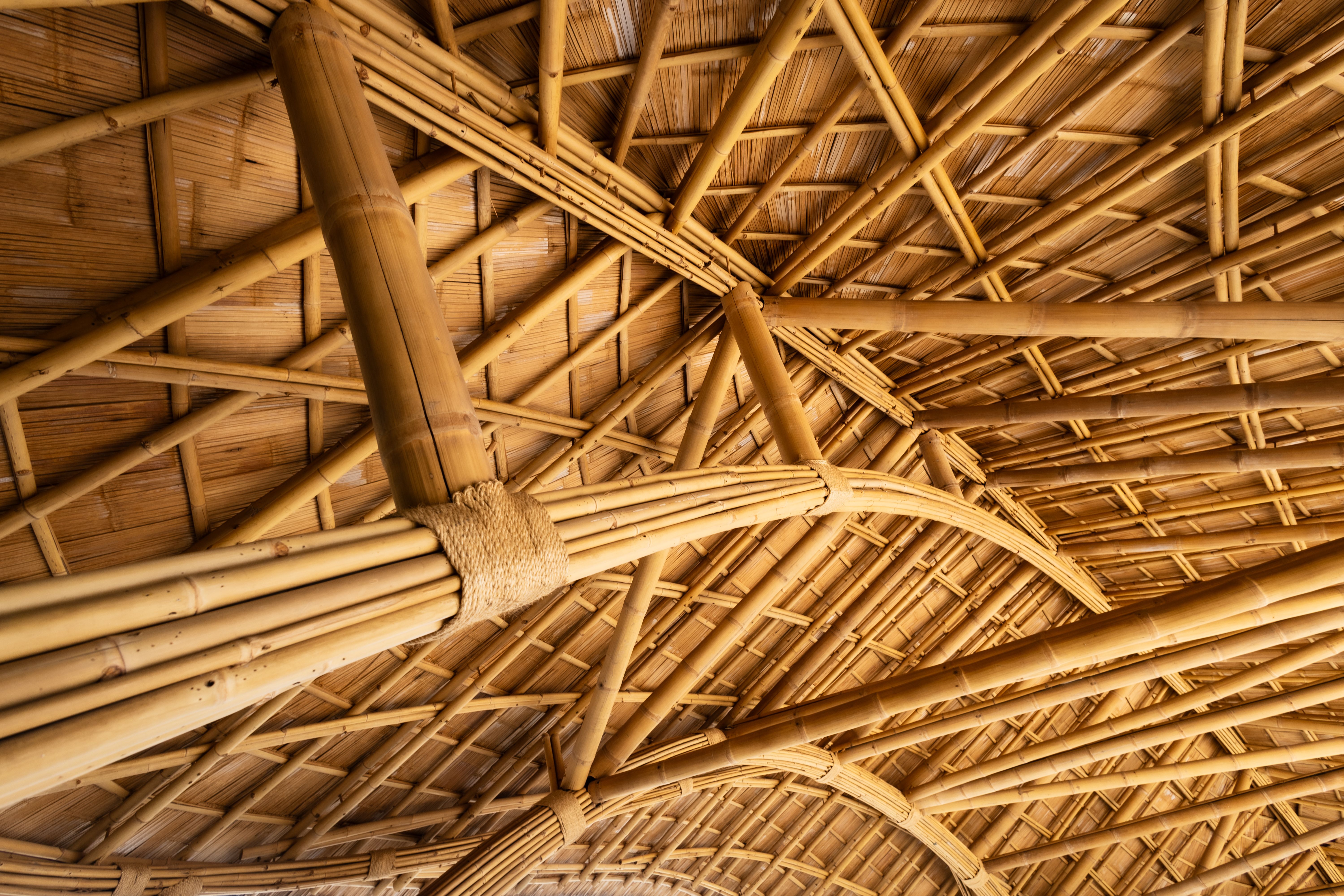 bamboo construction