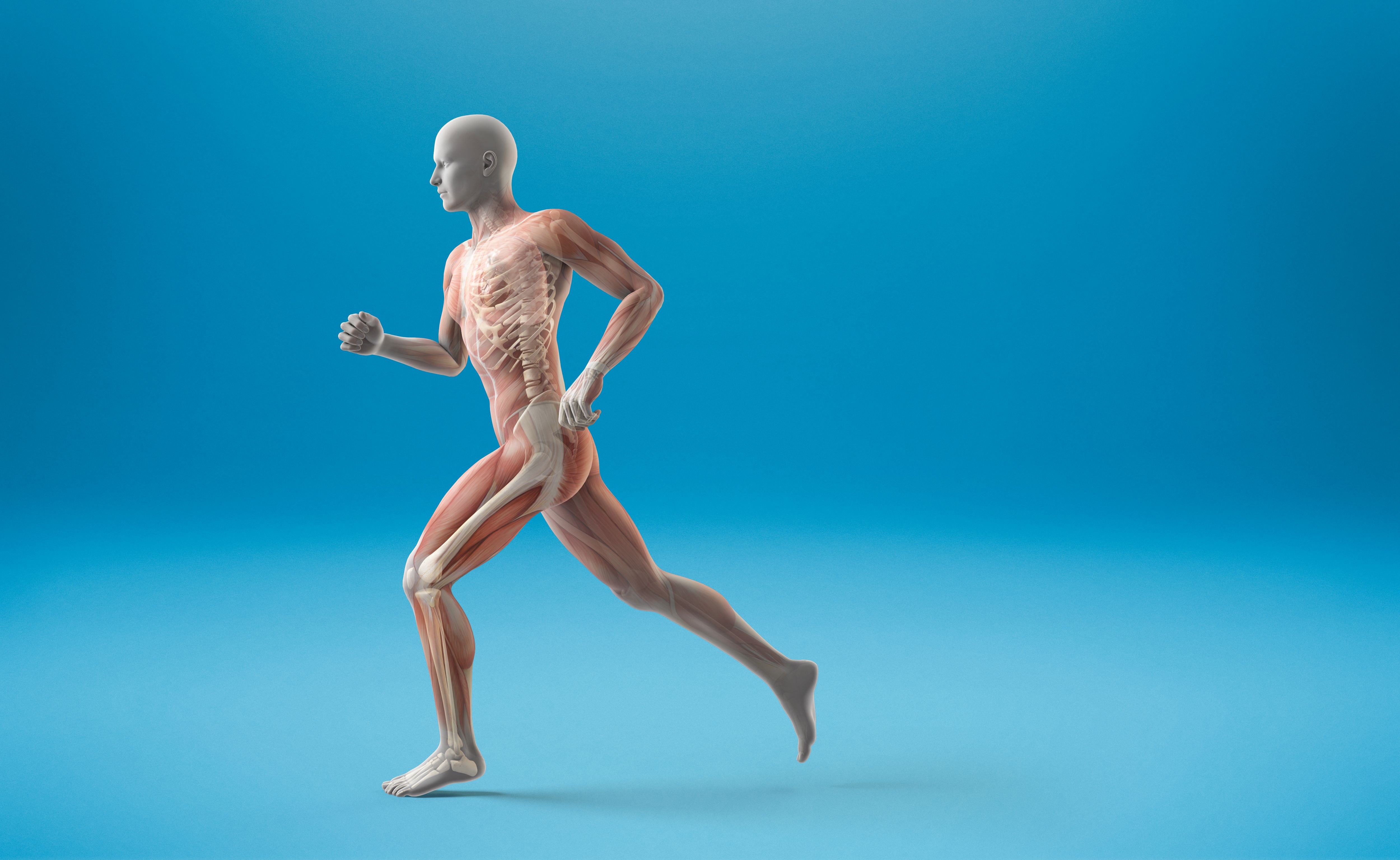 bone health
