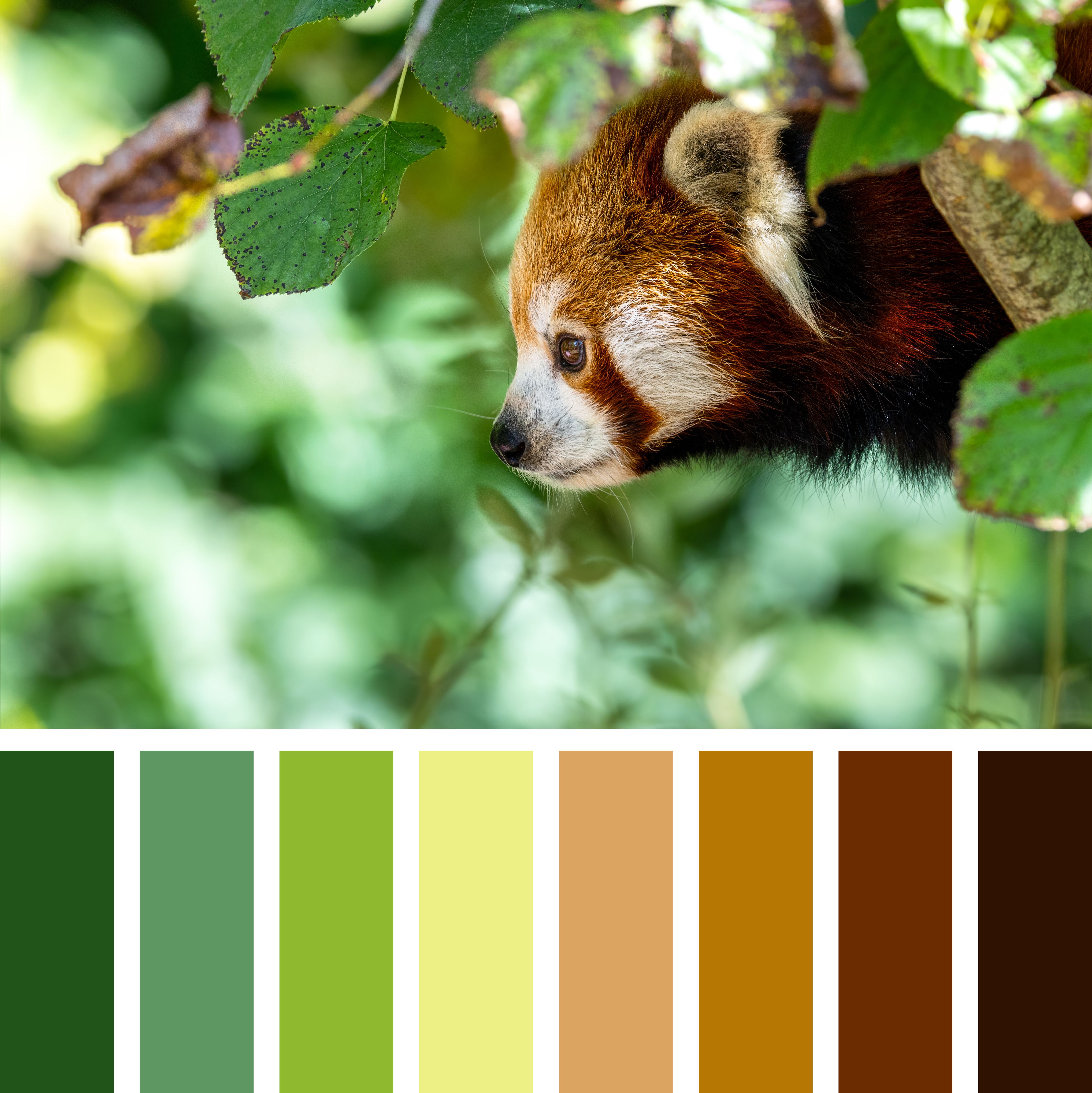 interior design mood board