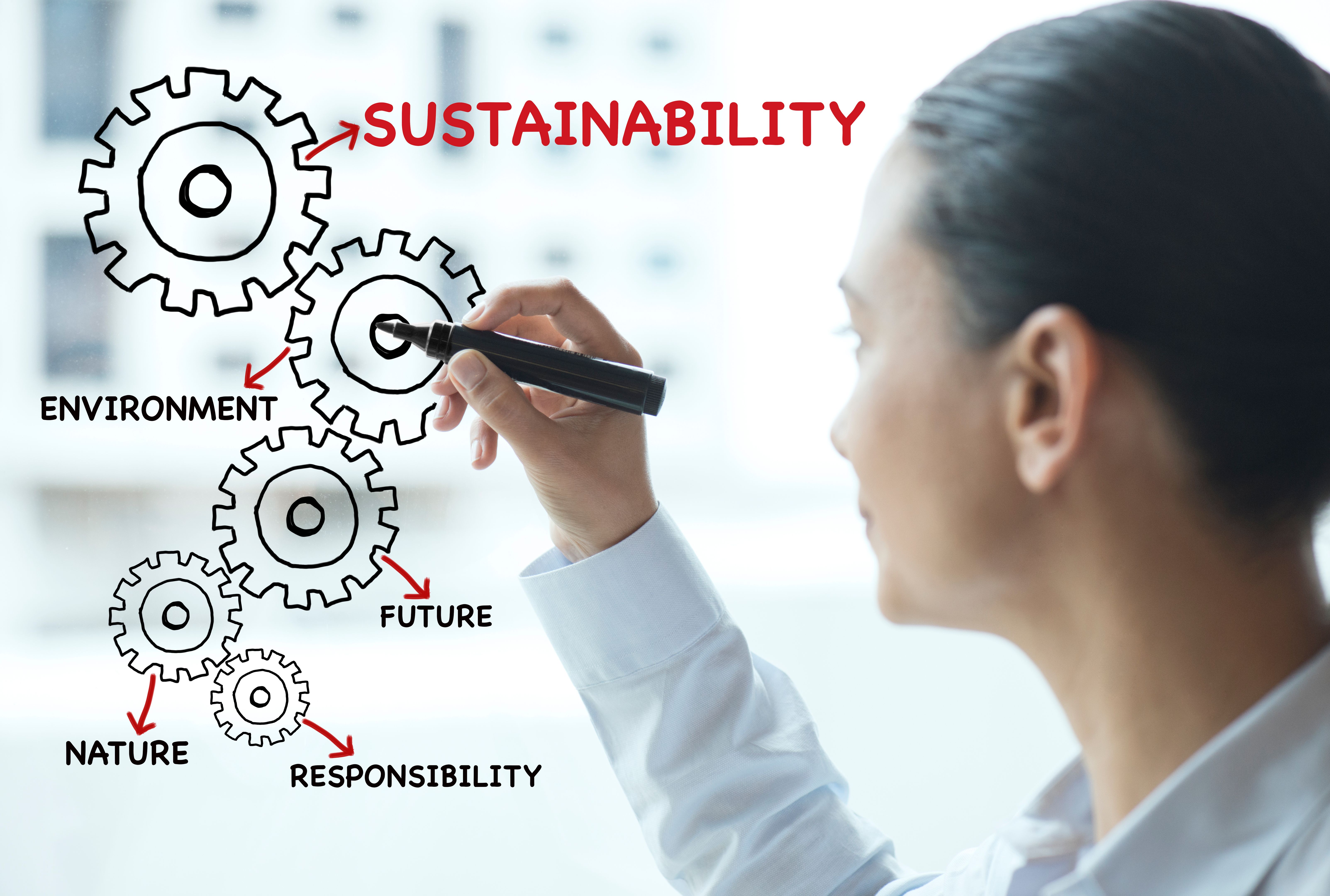 business sustainability goals