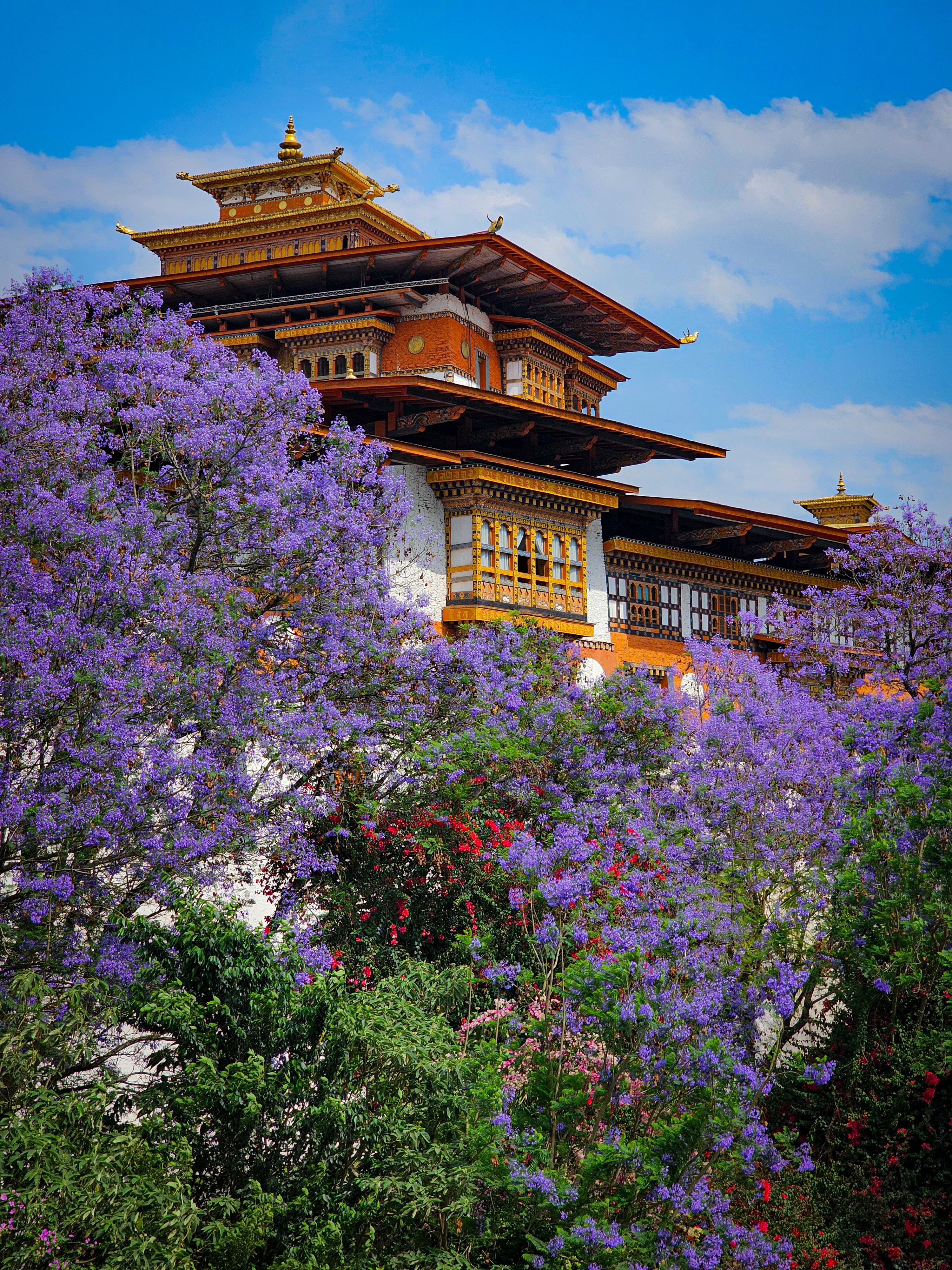 bhutan dzong