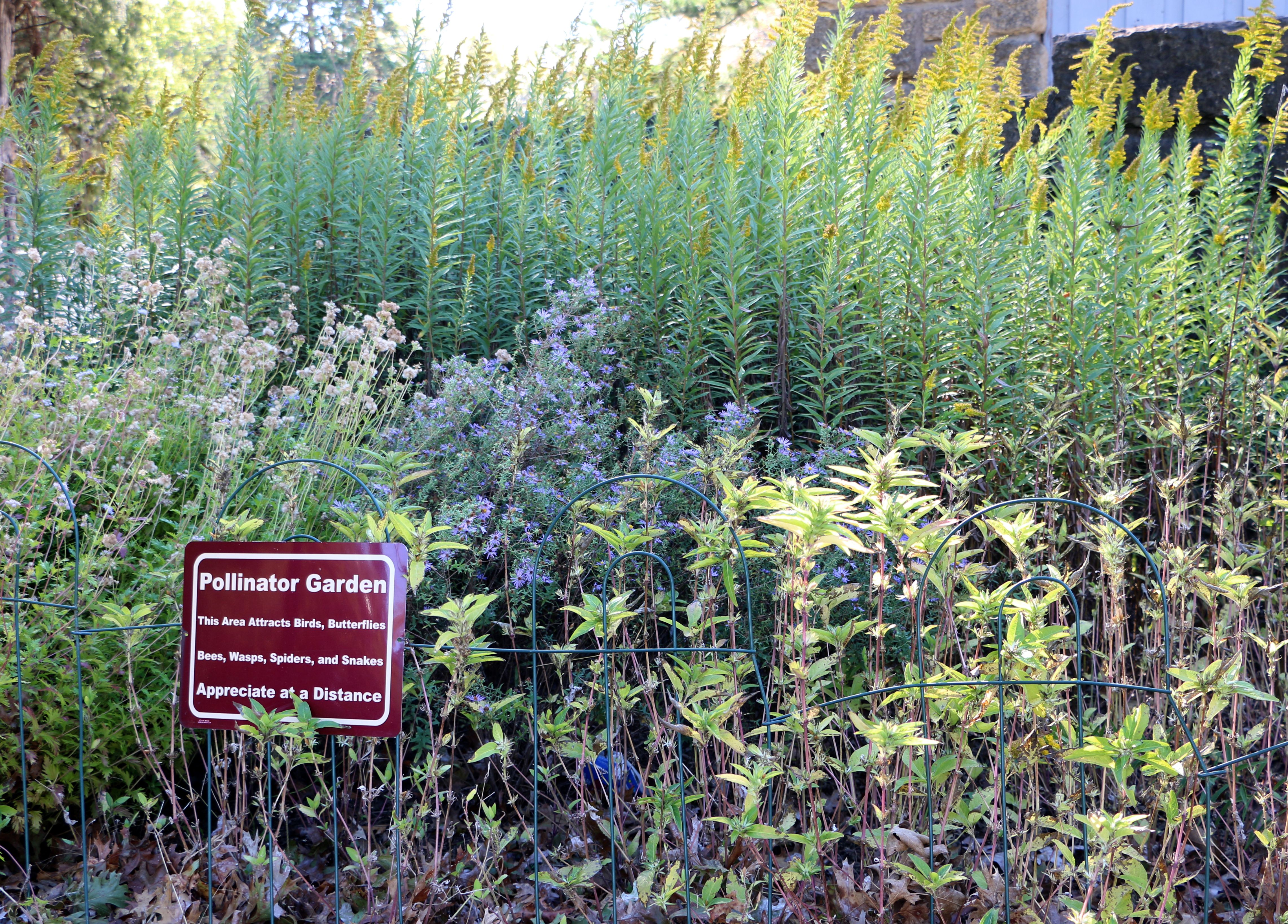wildlife habitat garden