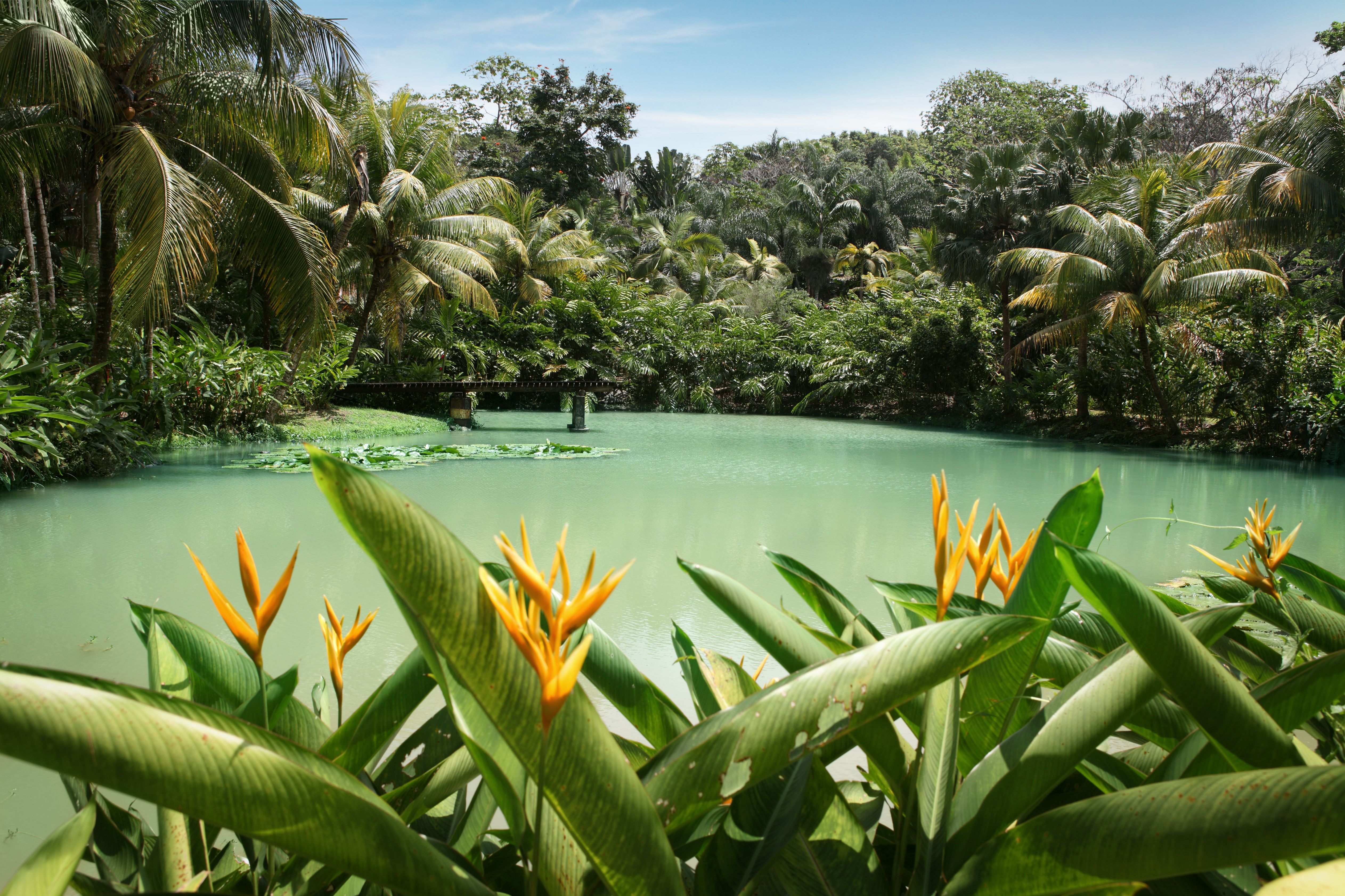 Lagoon at Cranbrook flower forest