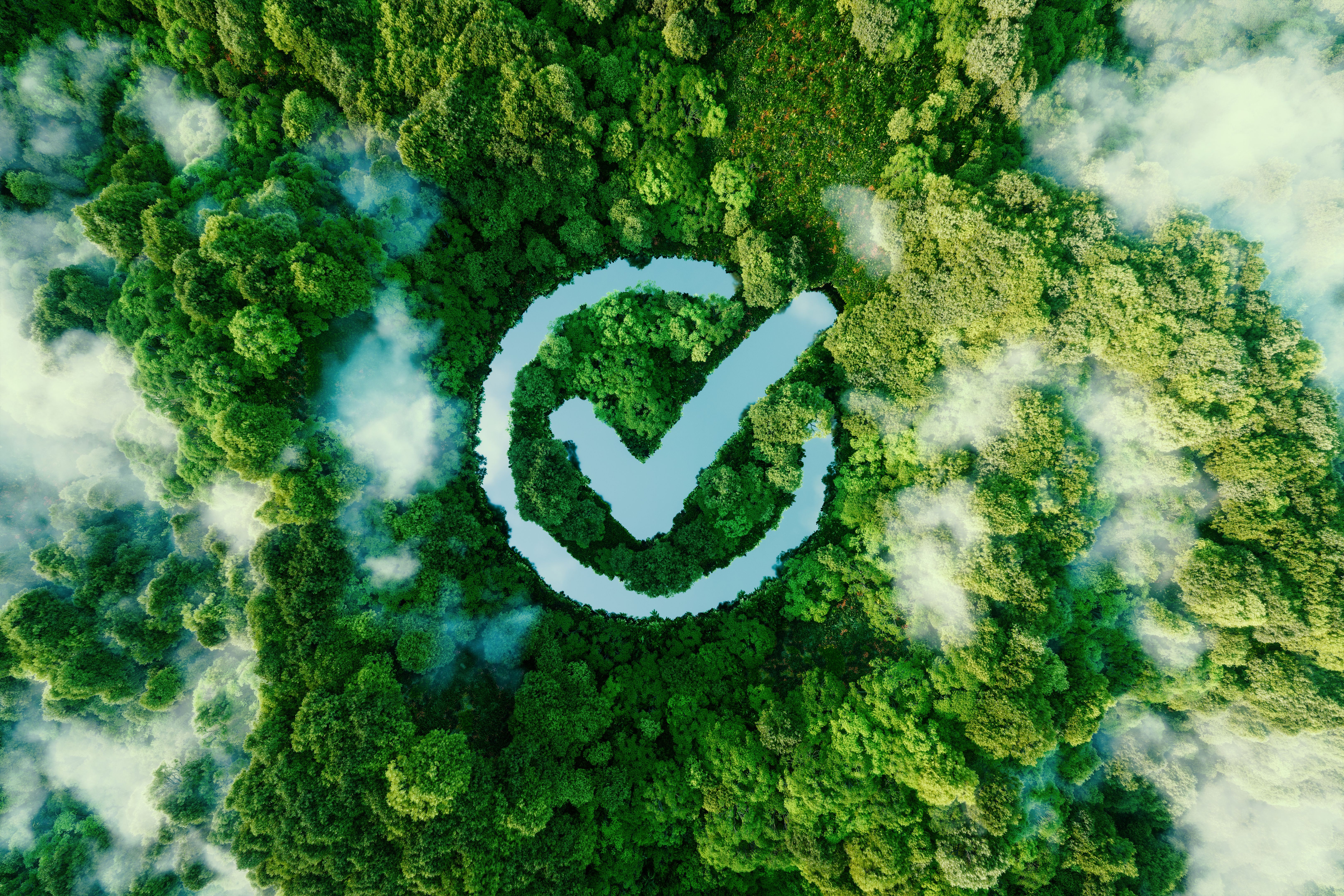 conservation success