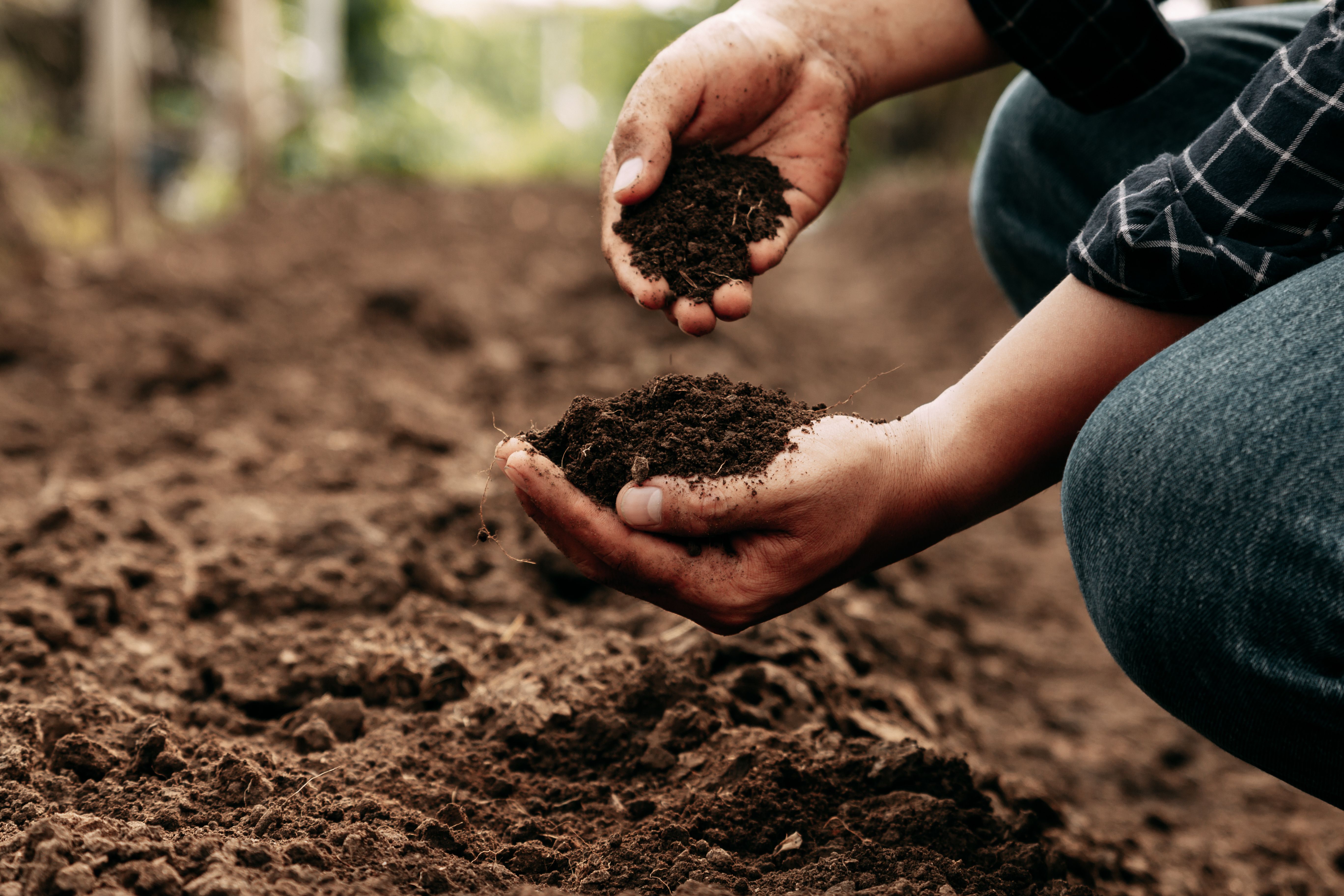 soil health
