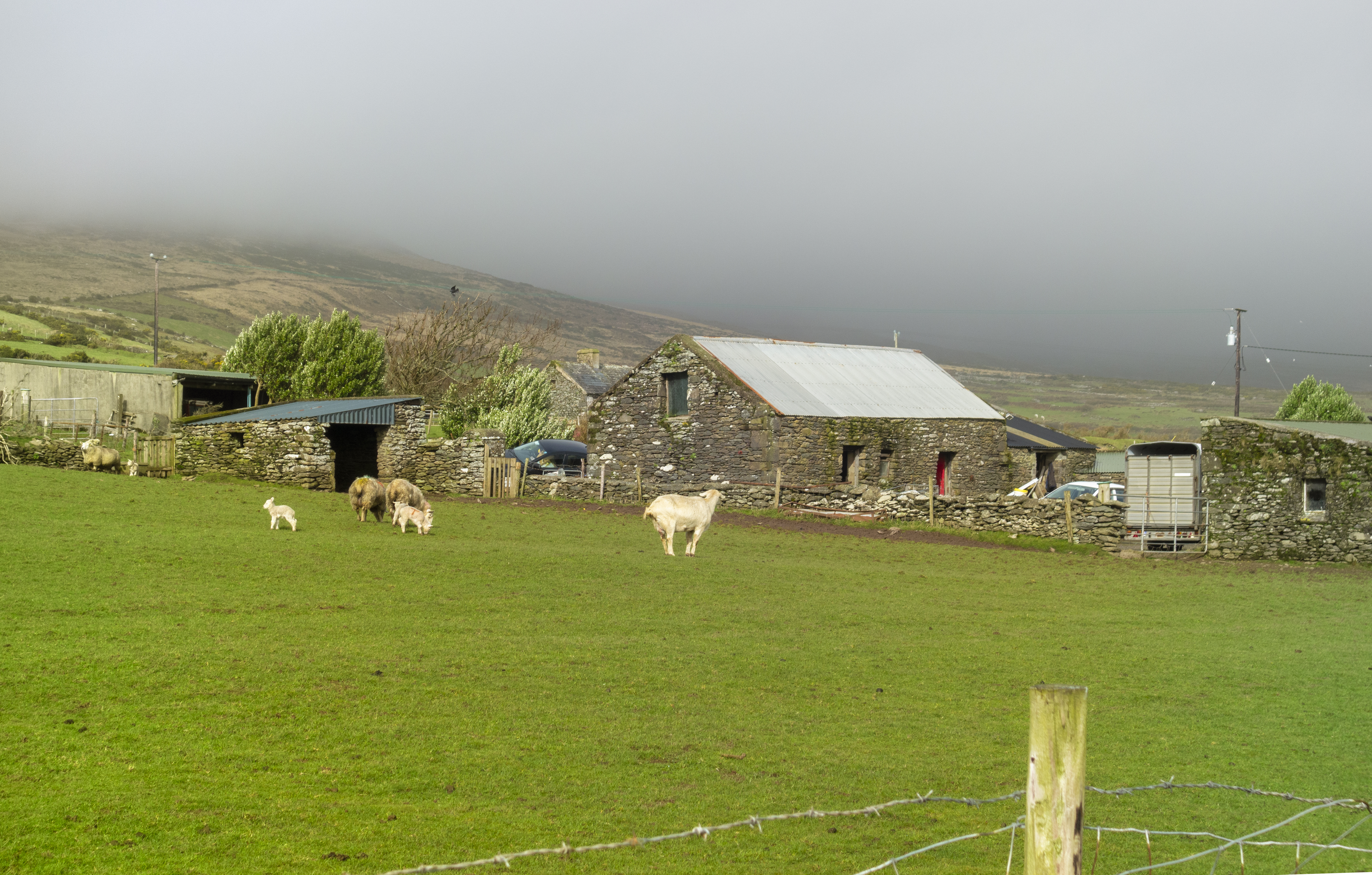 Dingle Peninsula in Ireland Dingle Peninsula in Ireland